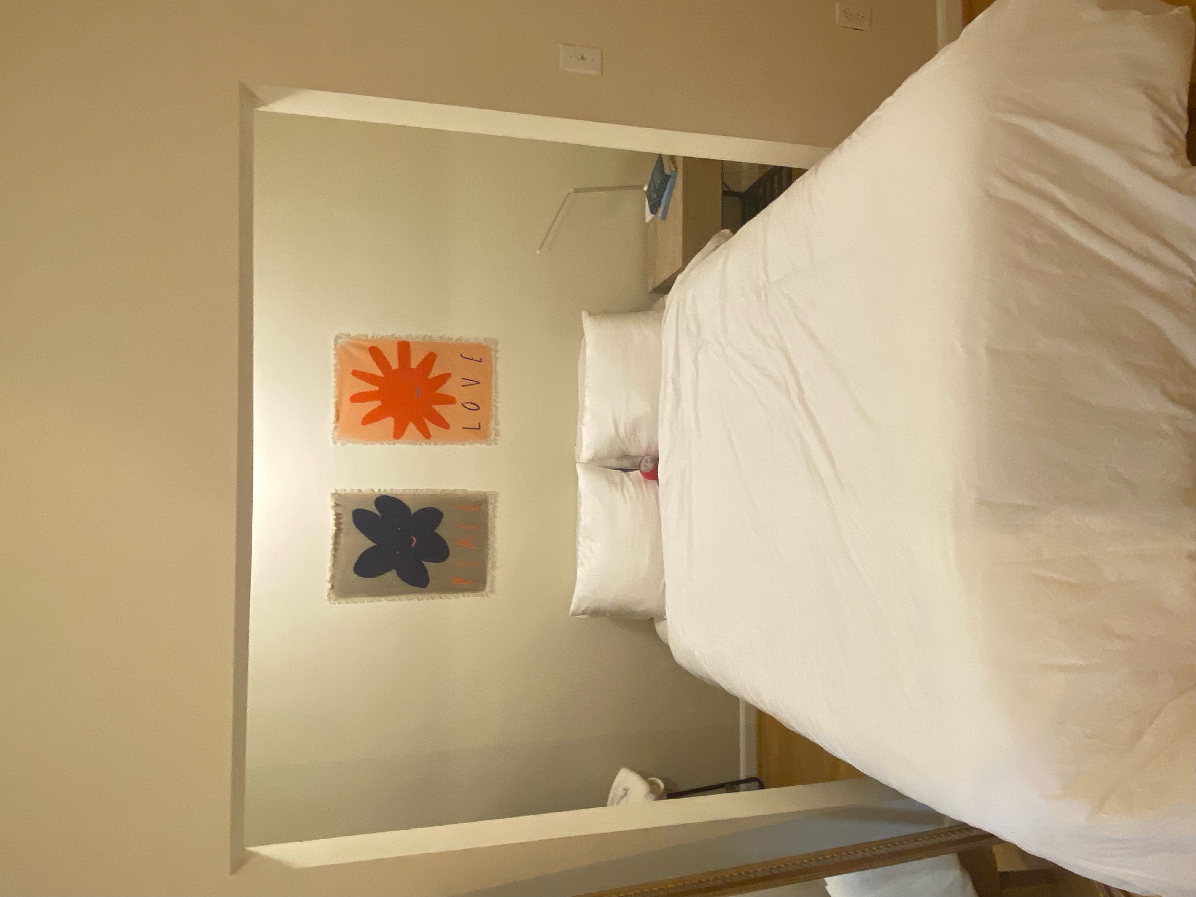 Studio bed, 1 bath apartment for rent at 37 Hemenway St Unit 6, Fenway — photo 3 of 7