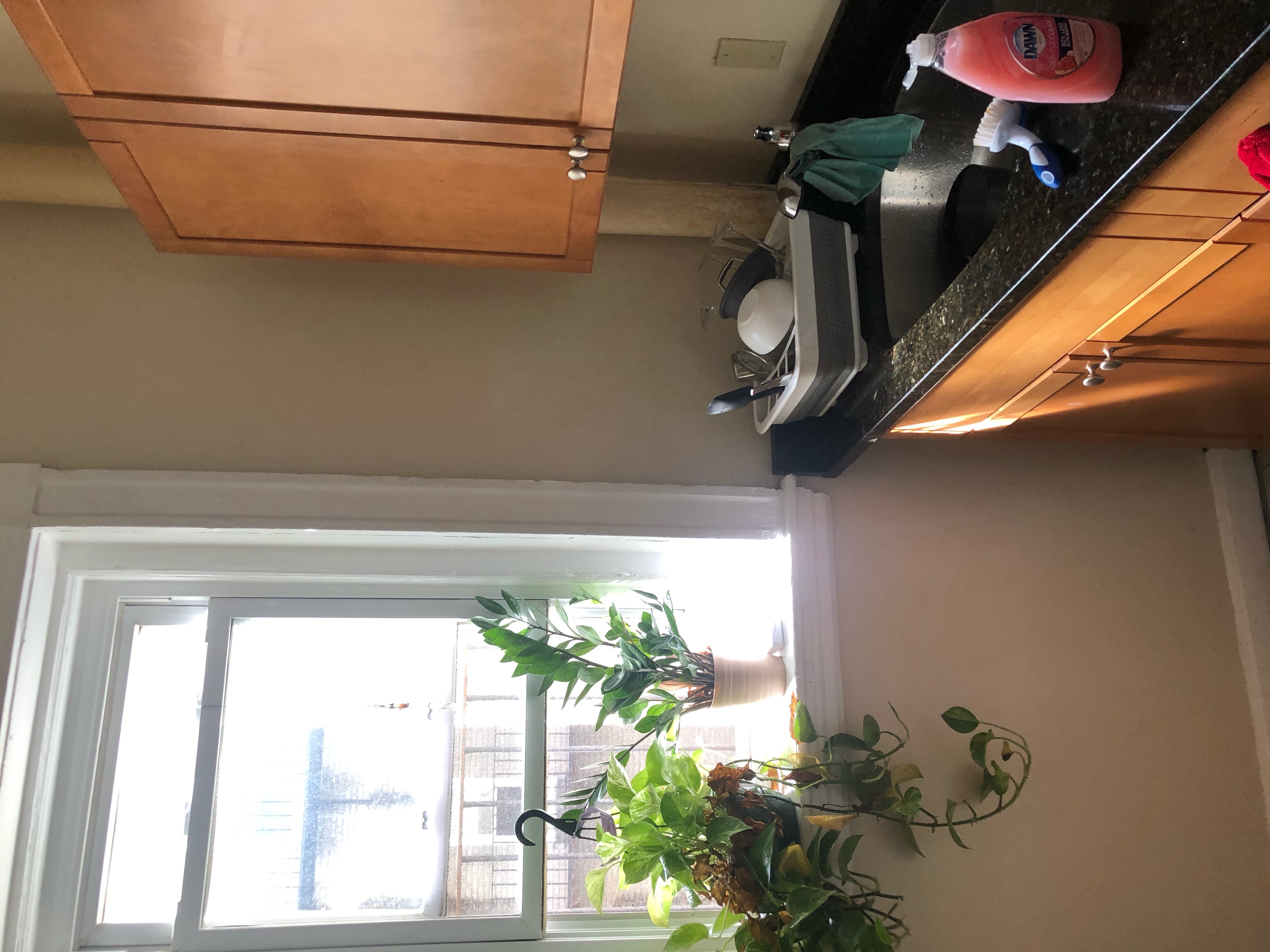 1197 Commonwealth Ave, Allston