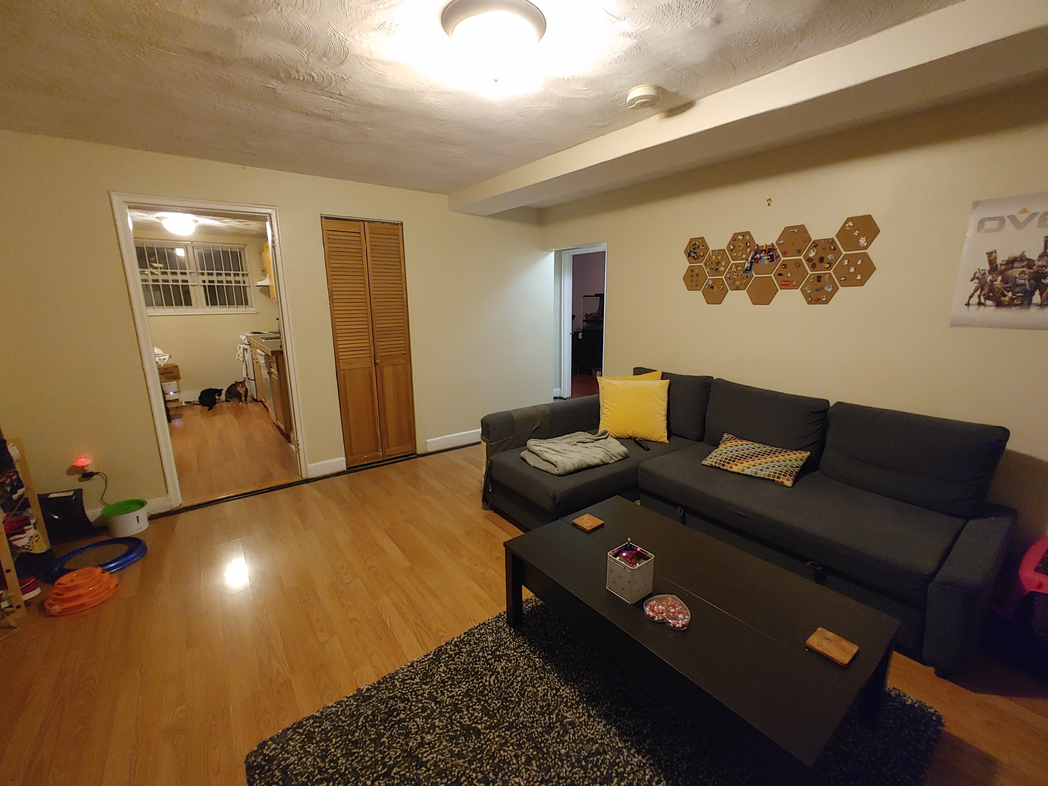 65 Chiswick Rd, Brighton