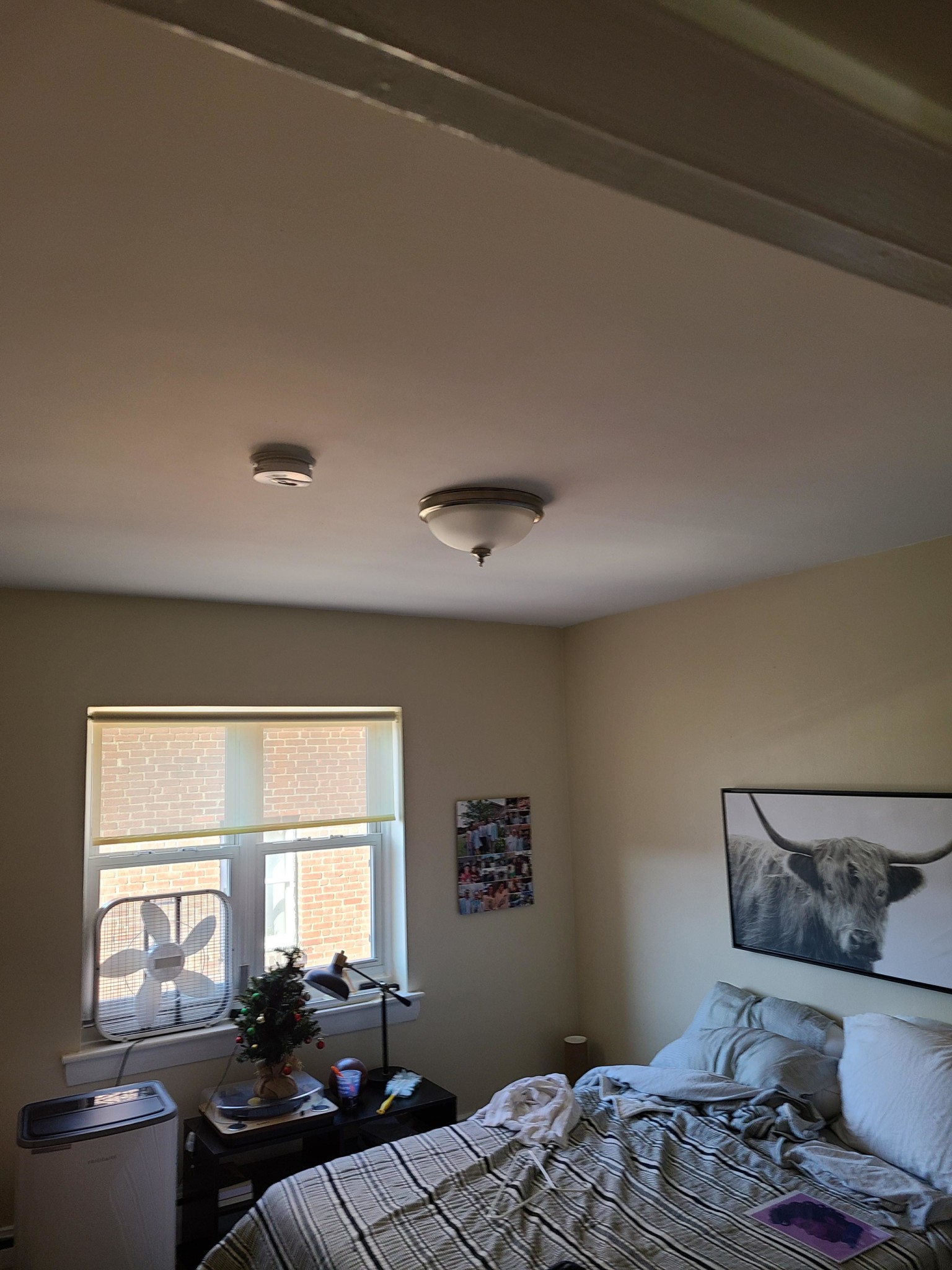 65 Chiswick Rd, Brighton