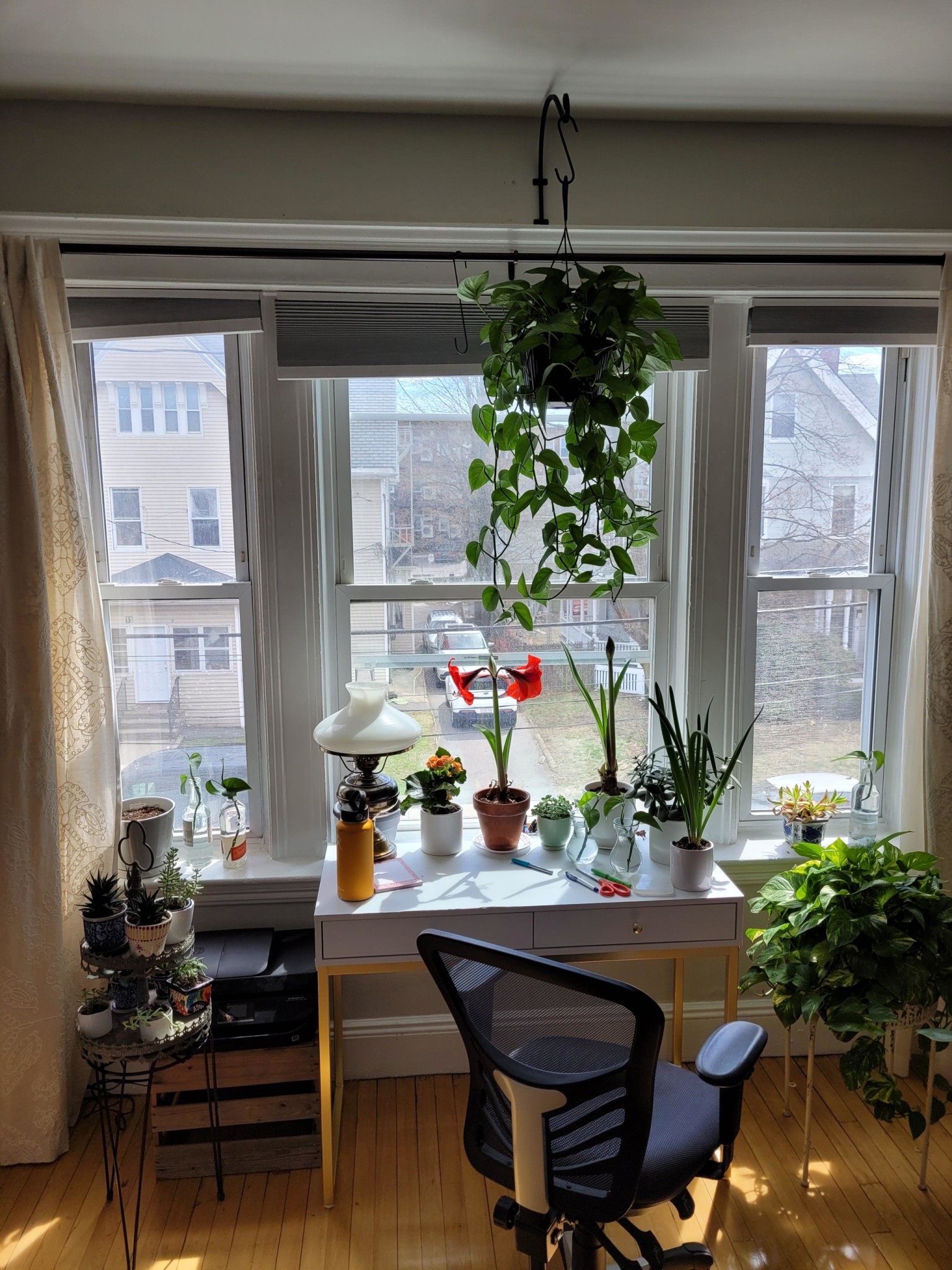 8 Farrington Ave, Allston