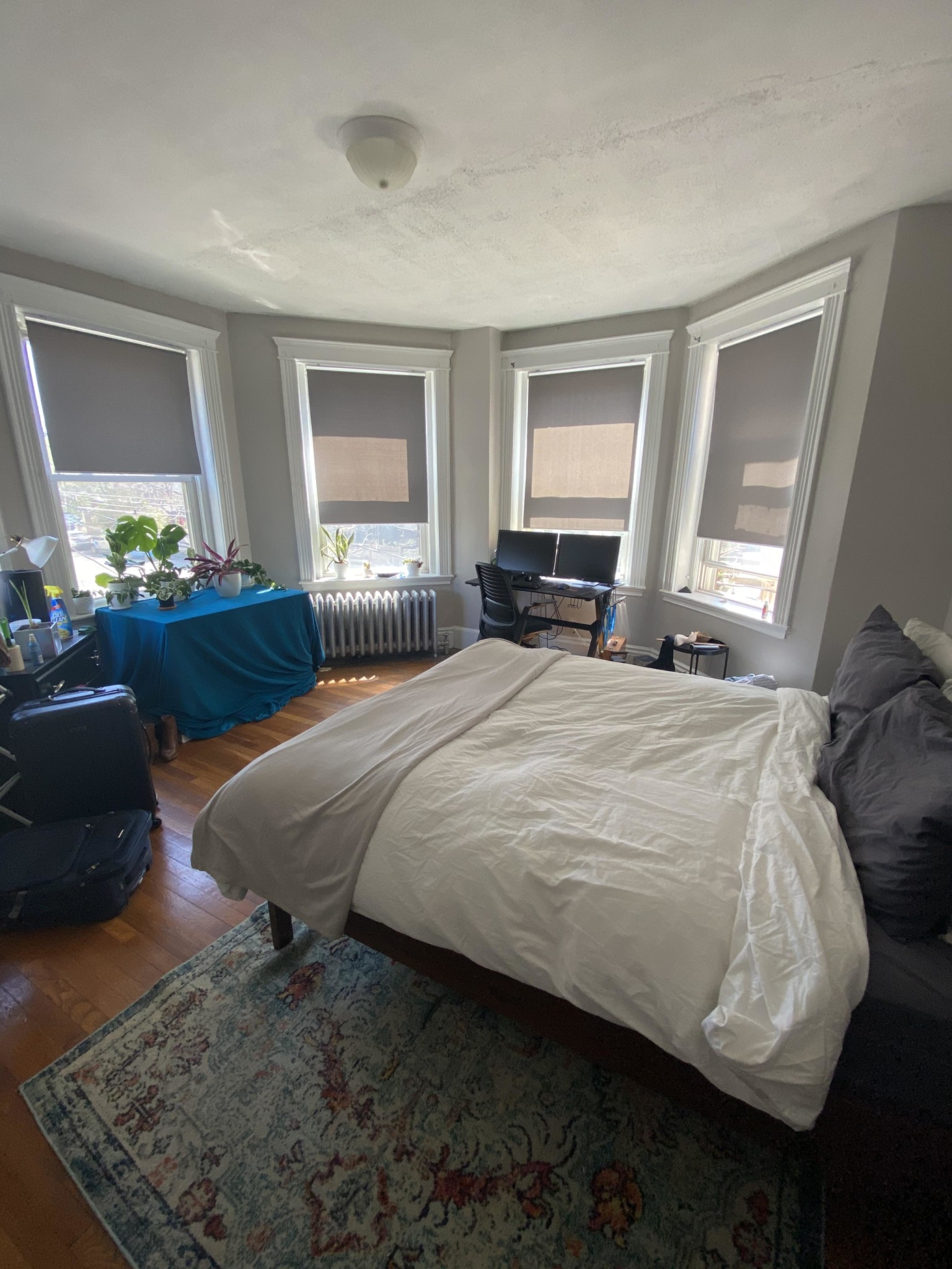 1082 Commonwealth Ave, Brighton