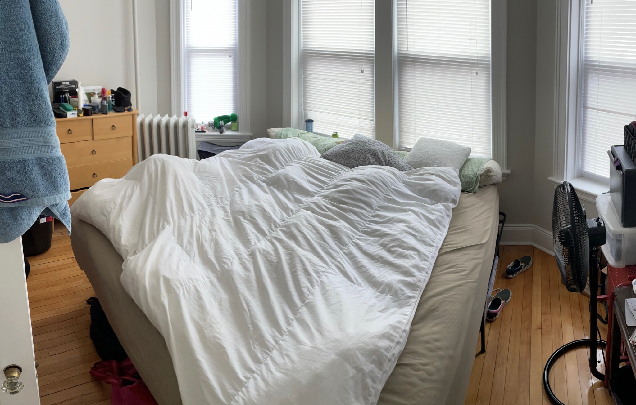 12 Farrington Ave, Allston