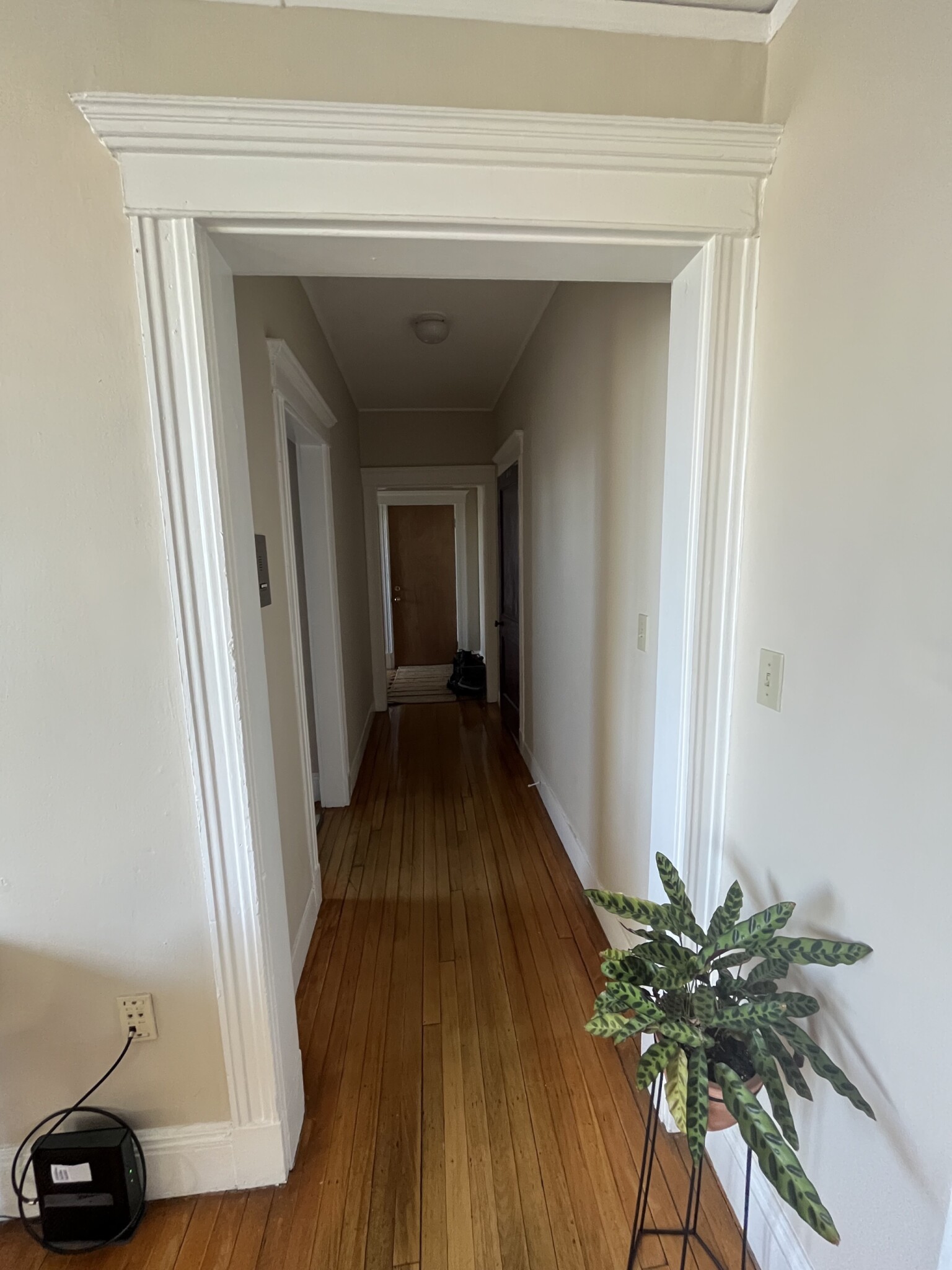 12 Farrington Ave, Allston