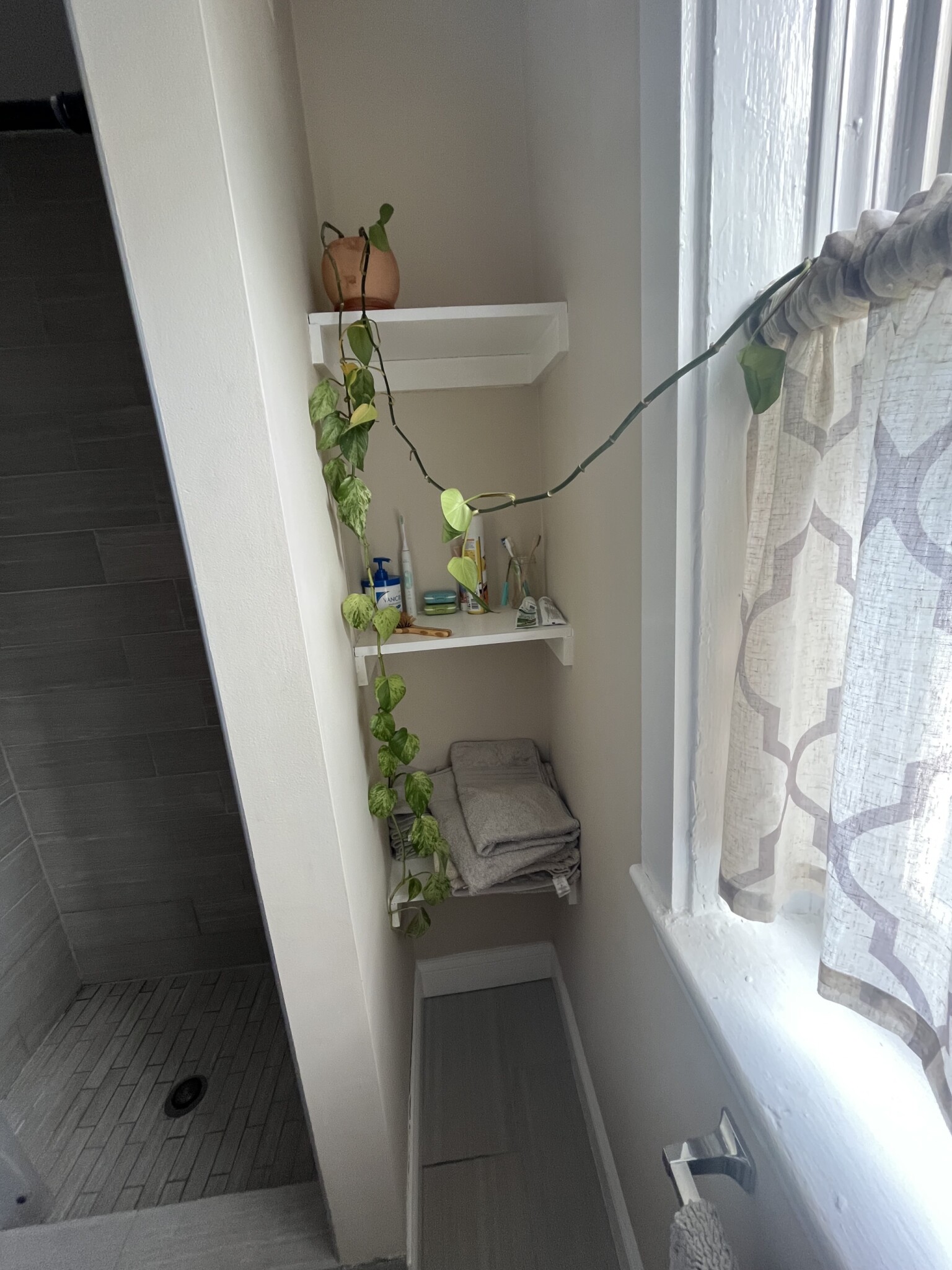 12 Farrington Ave, Allston