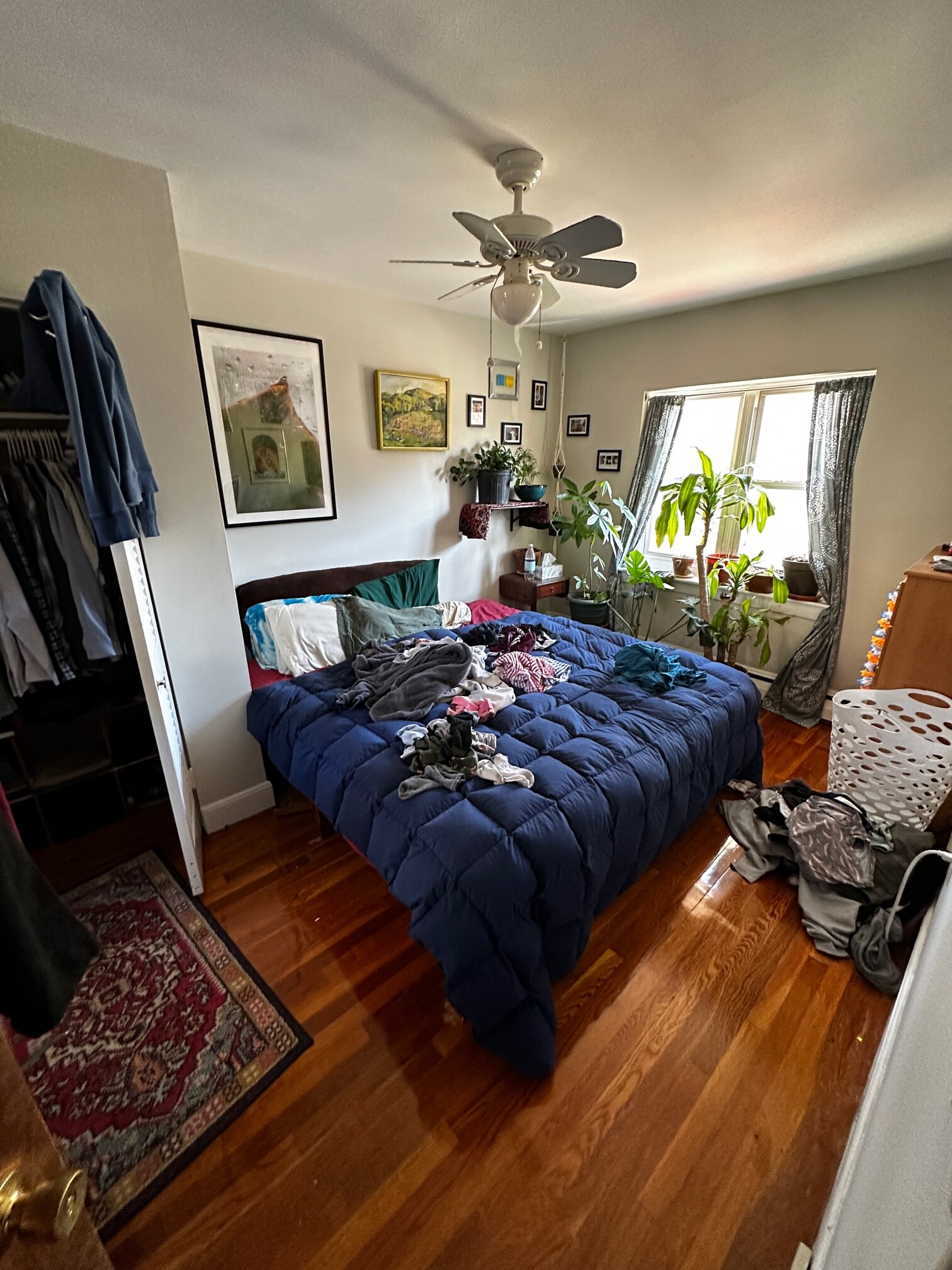 61 Selkirk Rd, Brighton