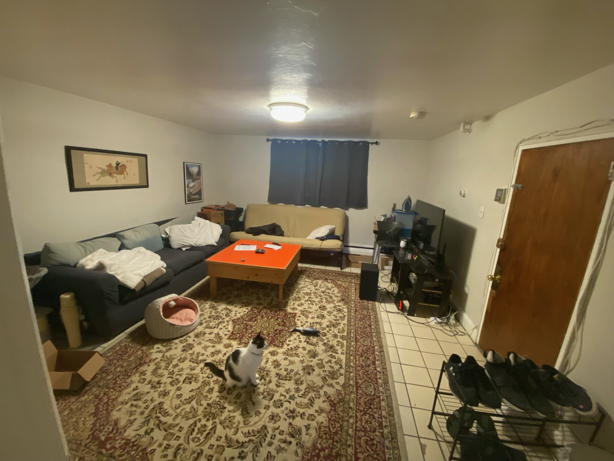 67 Chiswick Rd, Brighton