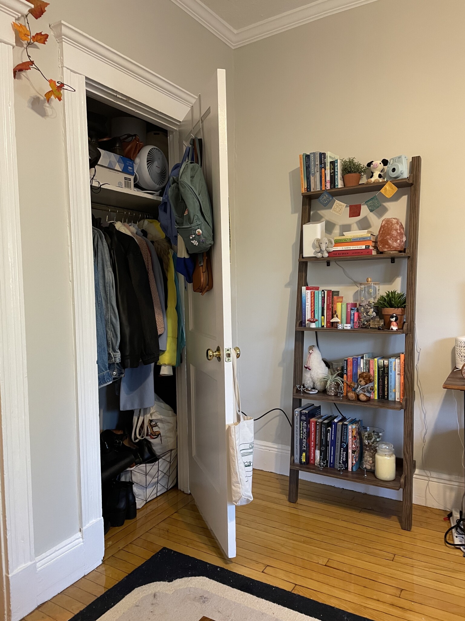 Rental image