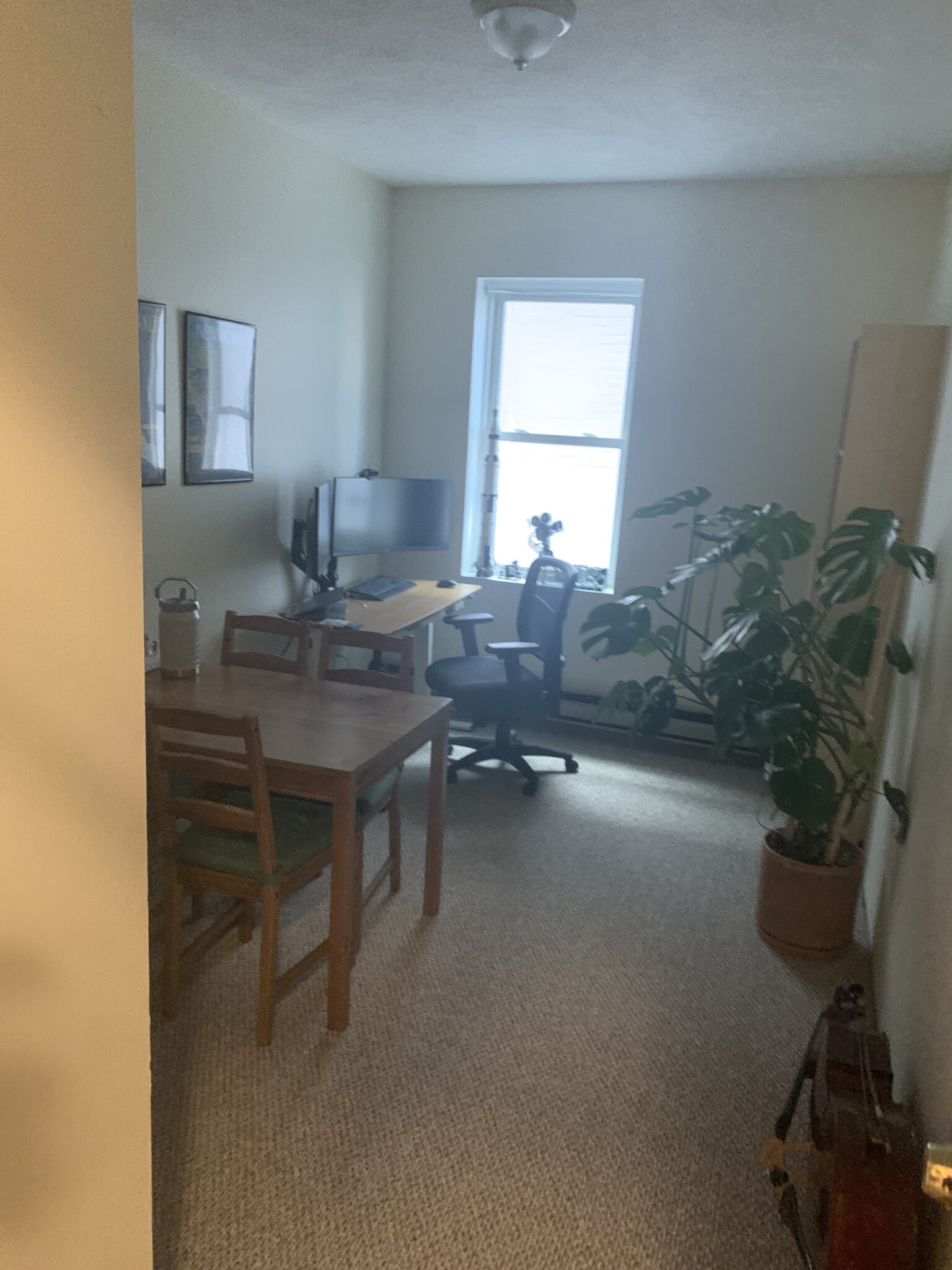 111 Norway St, Fenway