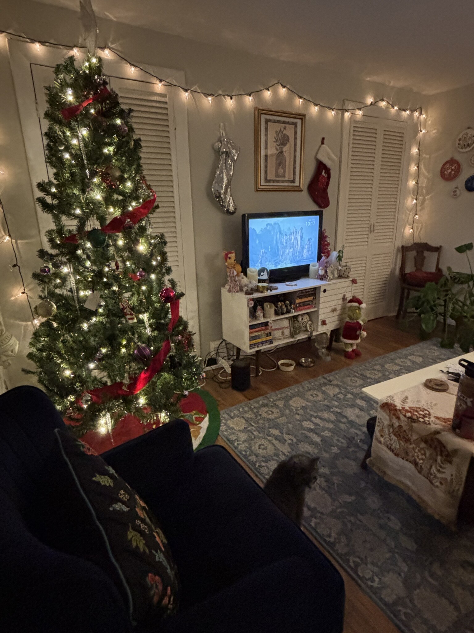 Photos of apartment on Bennington St.,Boston MA 02128