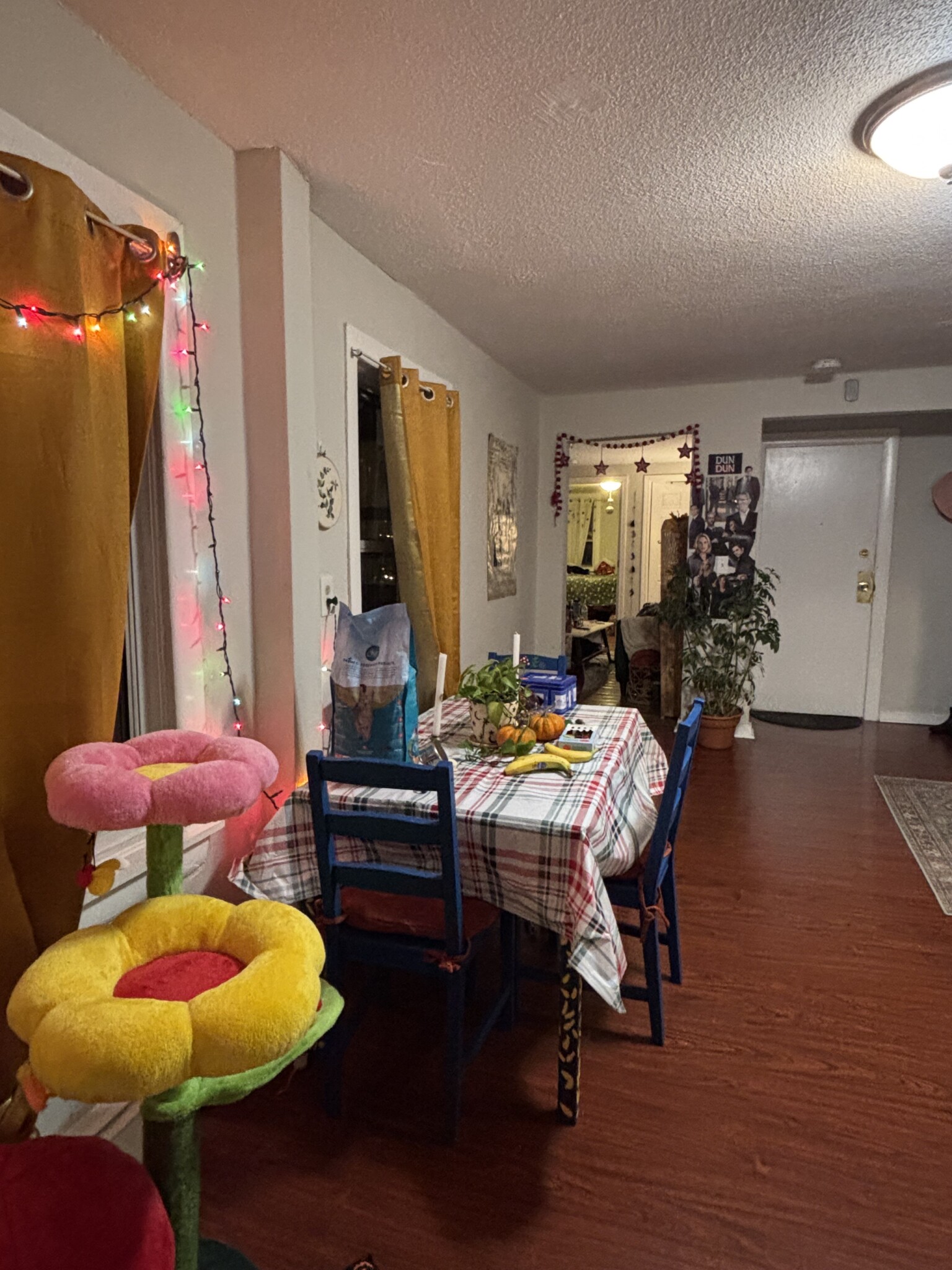 Photos of apartment on Bennington St.,Boston MA 02128