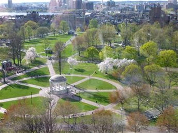 170 Tremont St, Midtown