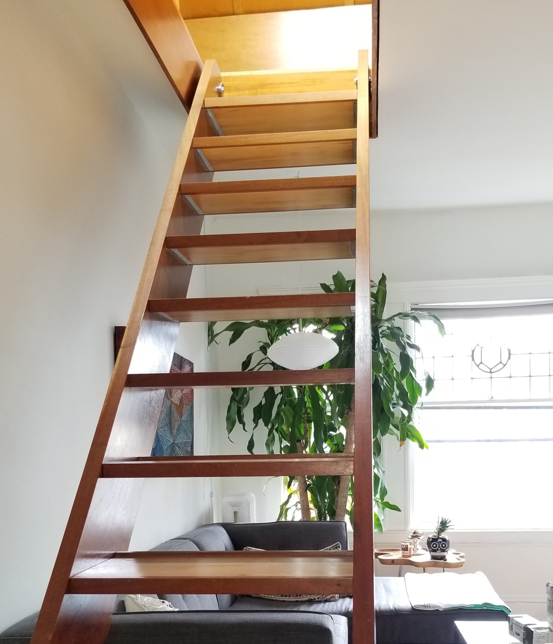 12 Remington St, Harvard Square