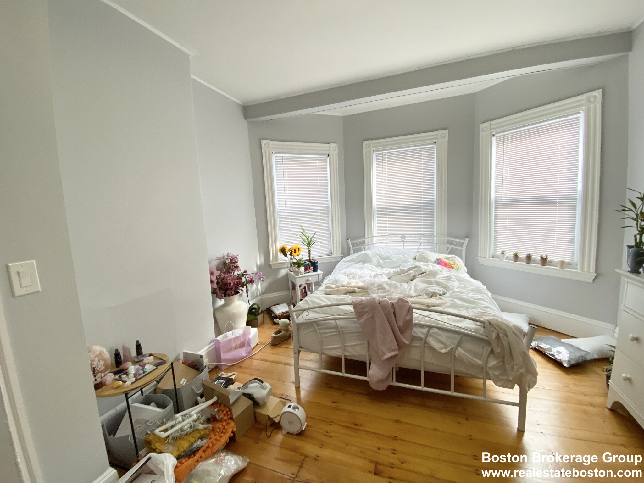 40 Harvest St, Dorchester