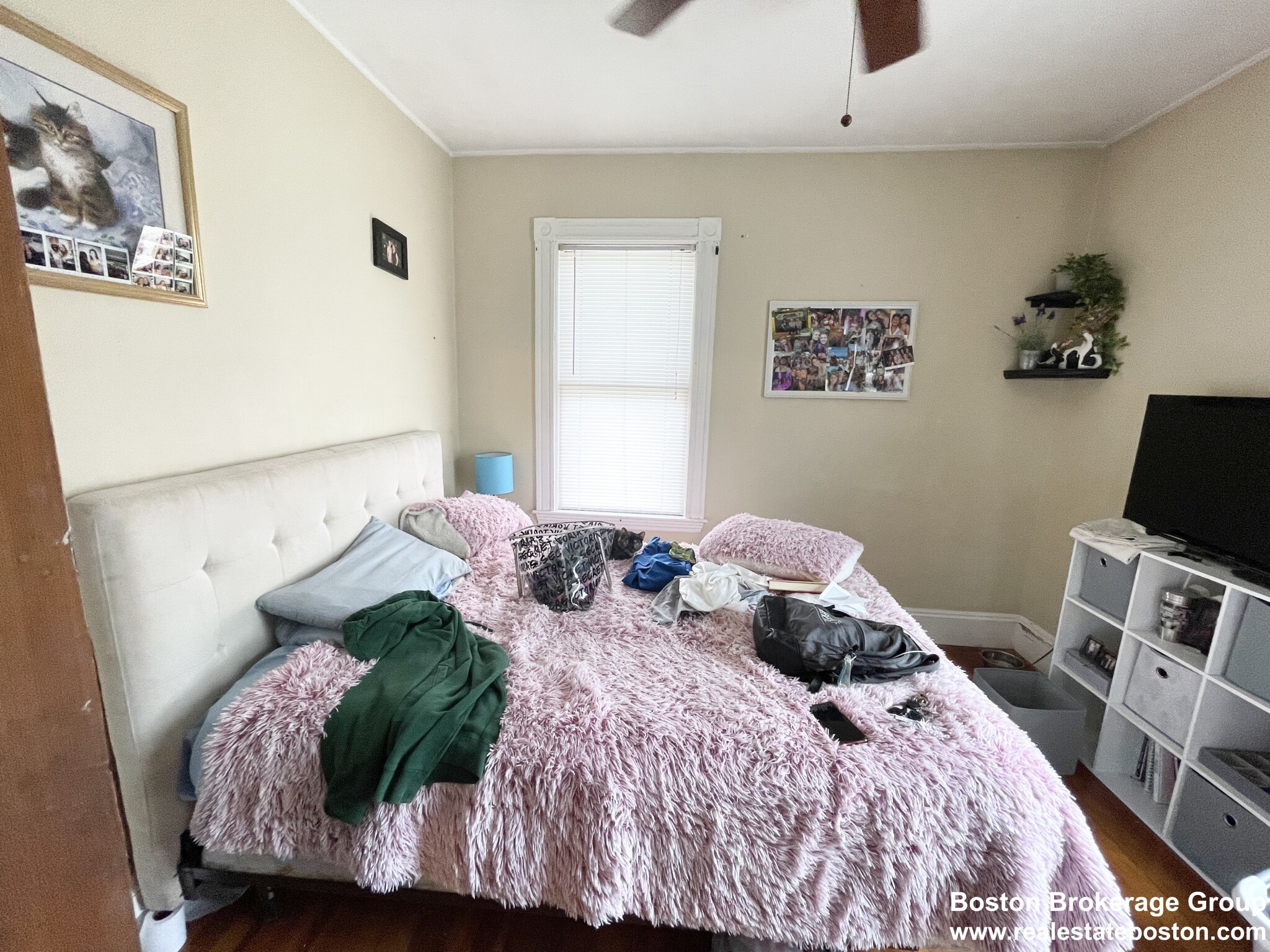 18 Romsey St, Dorchester