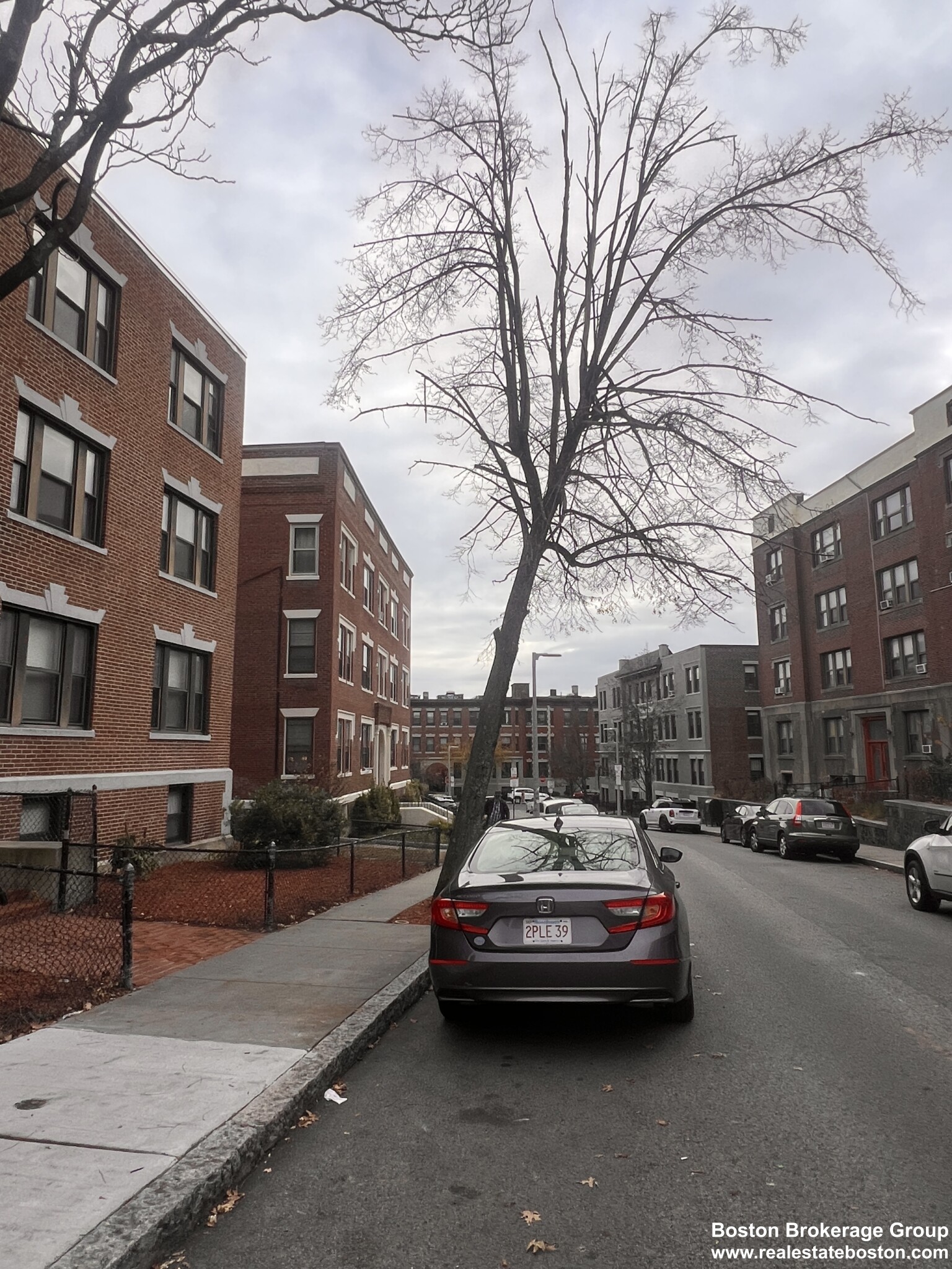 15 Park Vale Ave, Allston