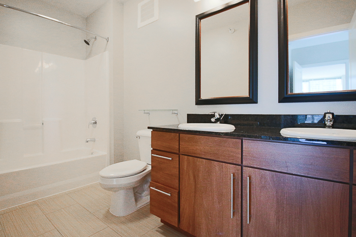 RIVER NORTH!  1 BED+DEN IN LUX BLDG! W/D in Unit!  Balcony!