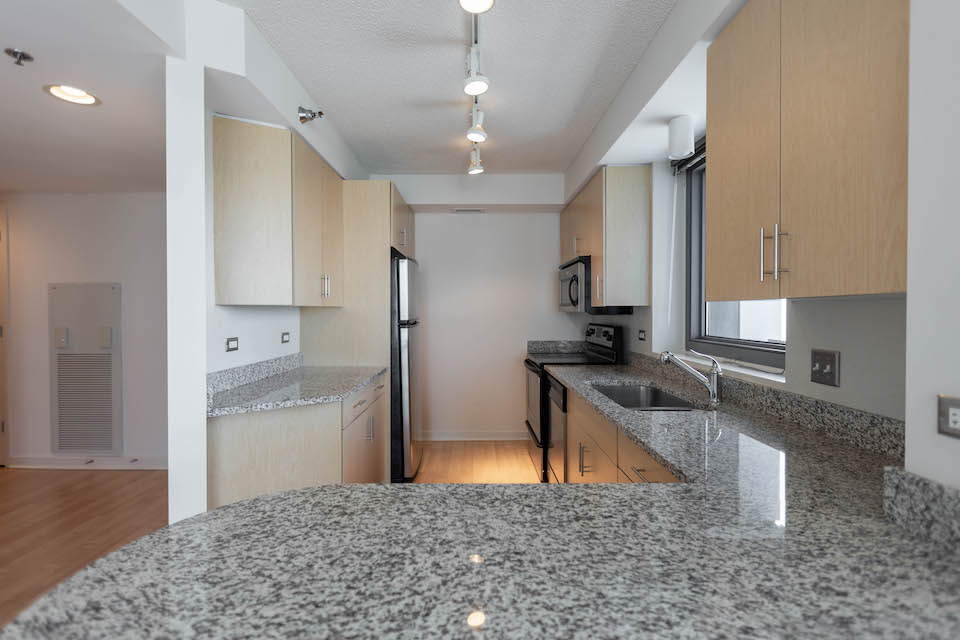 1 Bed, 1 Bath apartment in Chicago, South Loop for $2,640