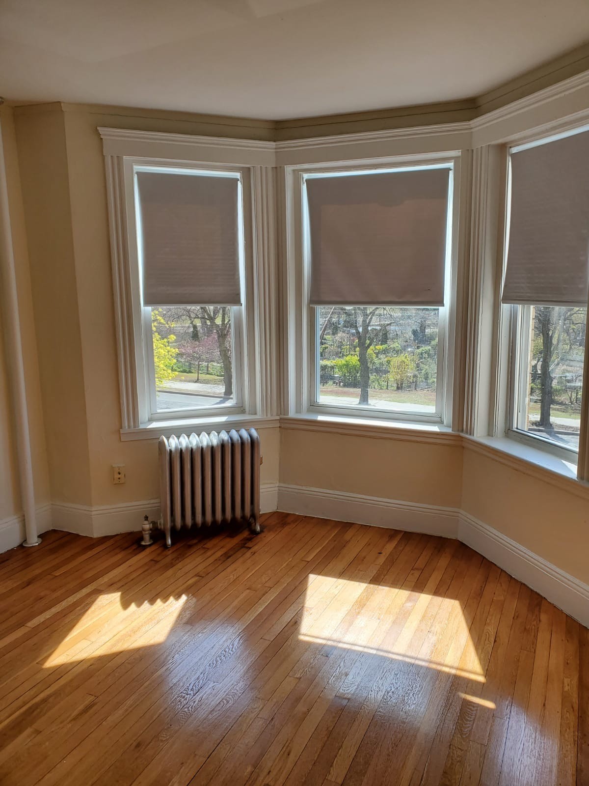 Photos of apartment on Boylston St.,Boston MA 02215