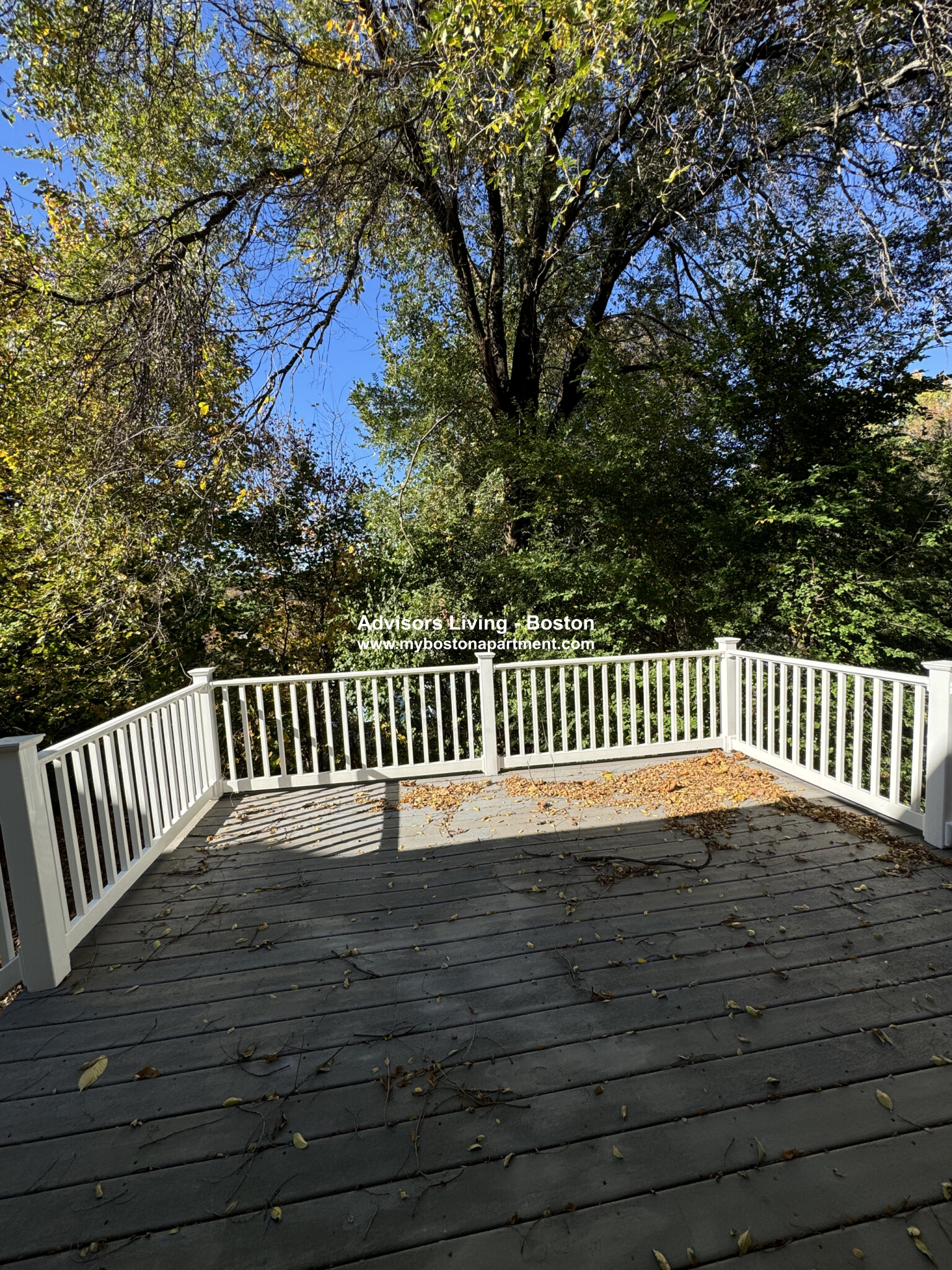 80 Lake St, Brighton