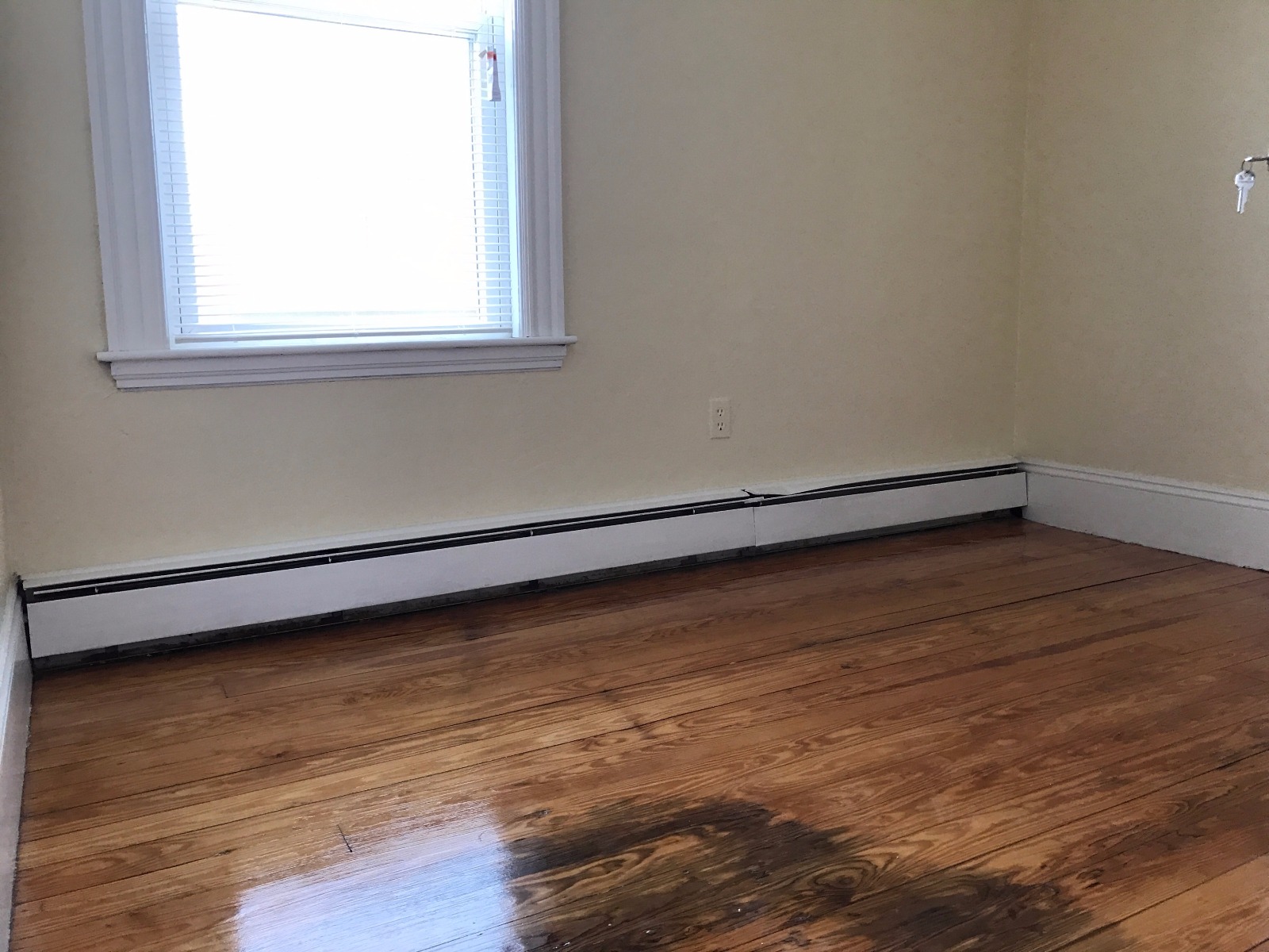 5 bed, 1 bath apartment for rent at 36 Cheorkee Unit 1, Mission Hill — photo 6 of 7