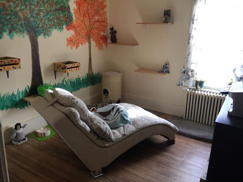 3 bed, 1 bath apartment for rent at 62 Brookside Ave Unit 3, Jamaica Plain — photo 33 of 42