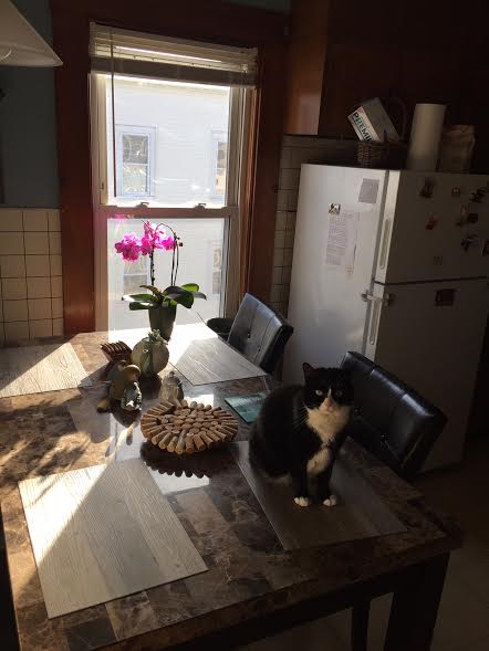 3 bed, 1 bath apartment for rent at 62 Brookside Ave Unit 3, Jamaica Plain — photo 2 of 42