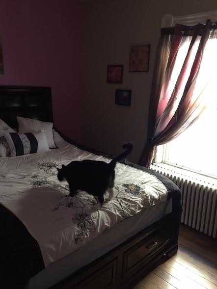 3 bed, 1 bath apartment for rent at 62 Brookside Ave Unit 3, Jamaica Plain — photo 41 of 42