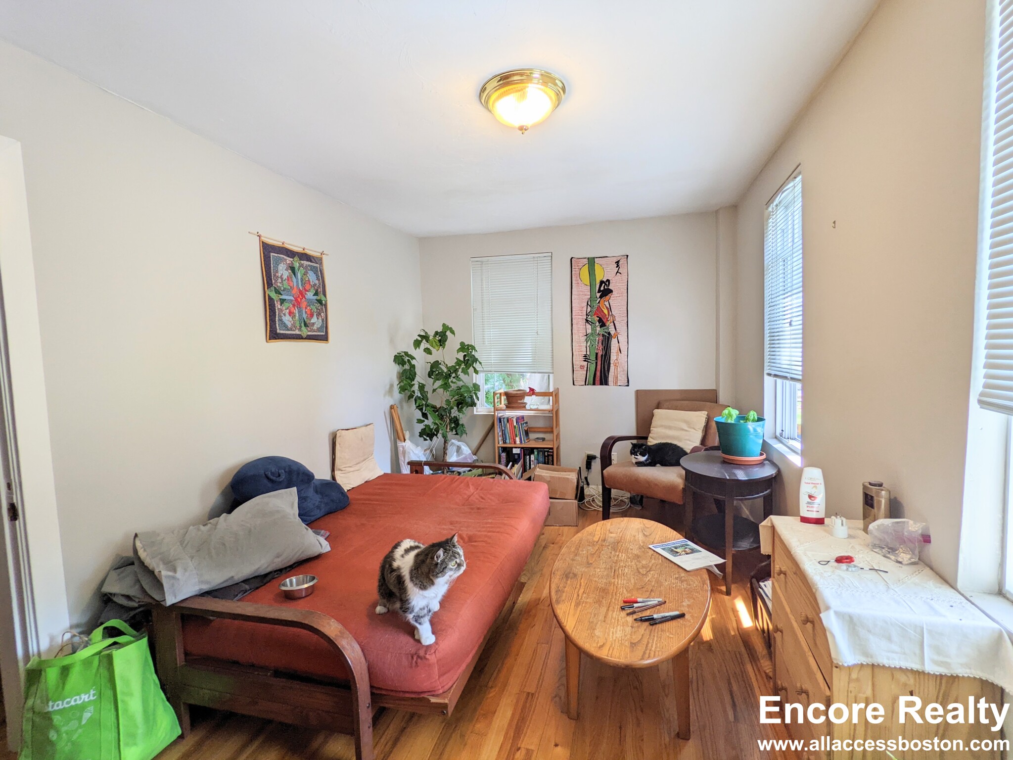 429 Franklin St, Cambridgeport