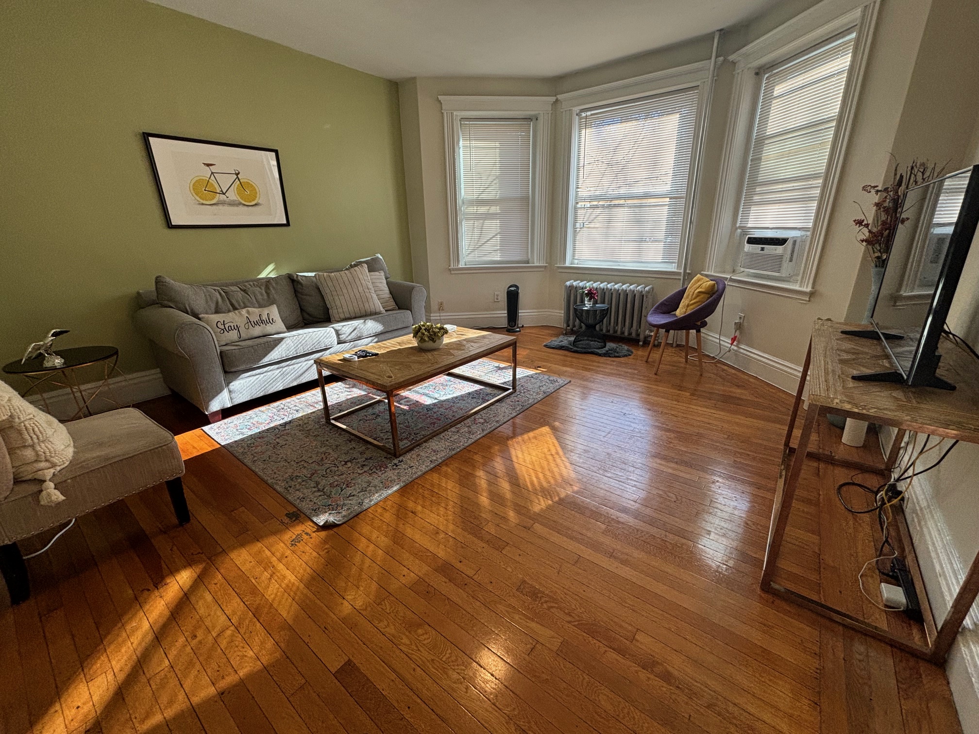 22 Euston St, Brookline