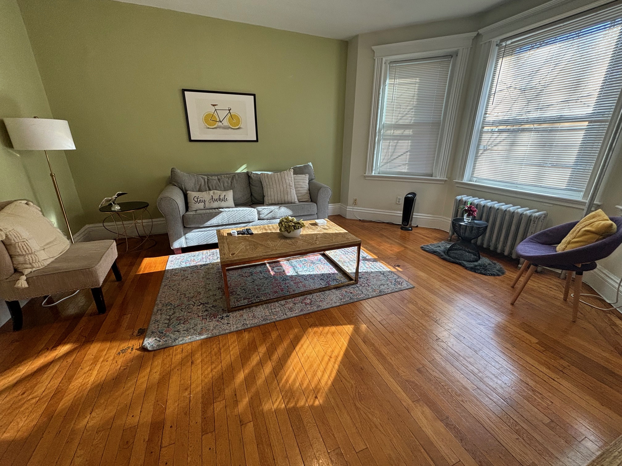 22 Euston St, Brookline