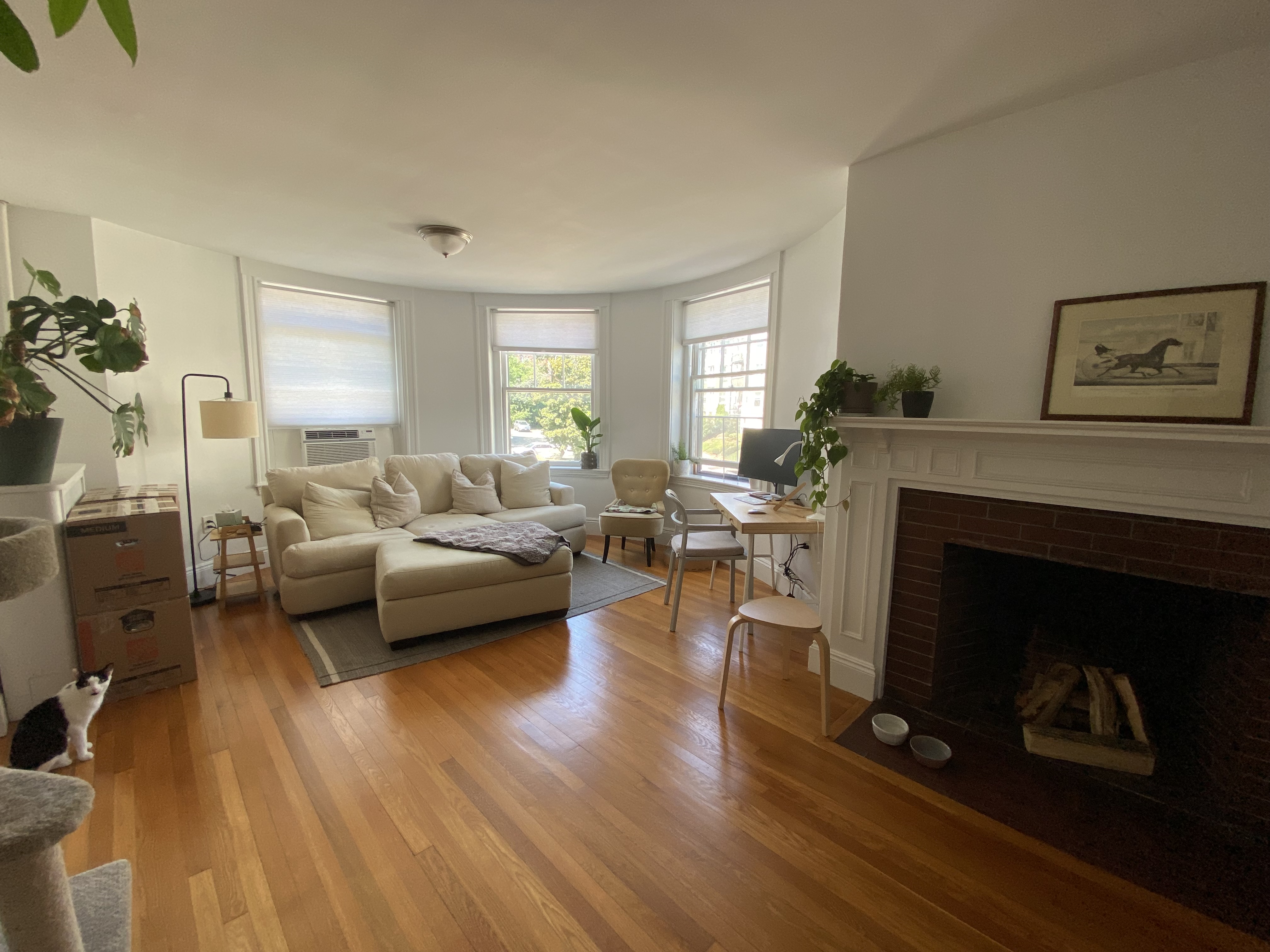 Photos of apartment on Strathmore,Boston MA 02135