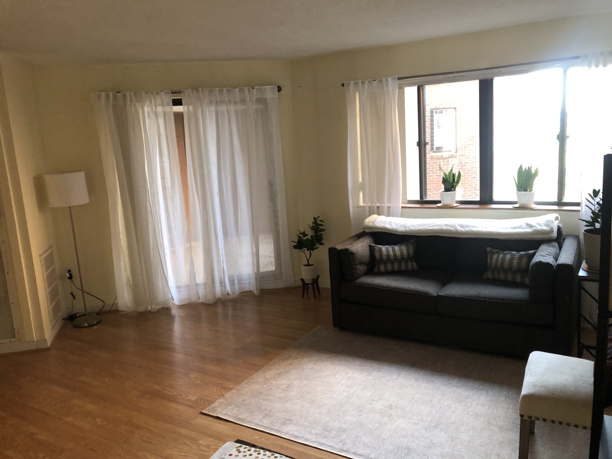 147 Kelton St, Brighton