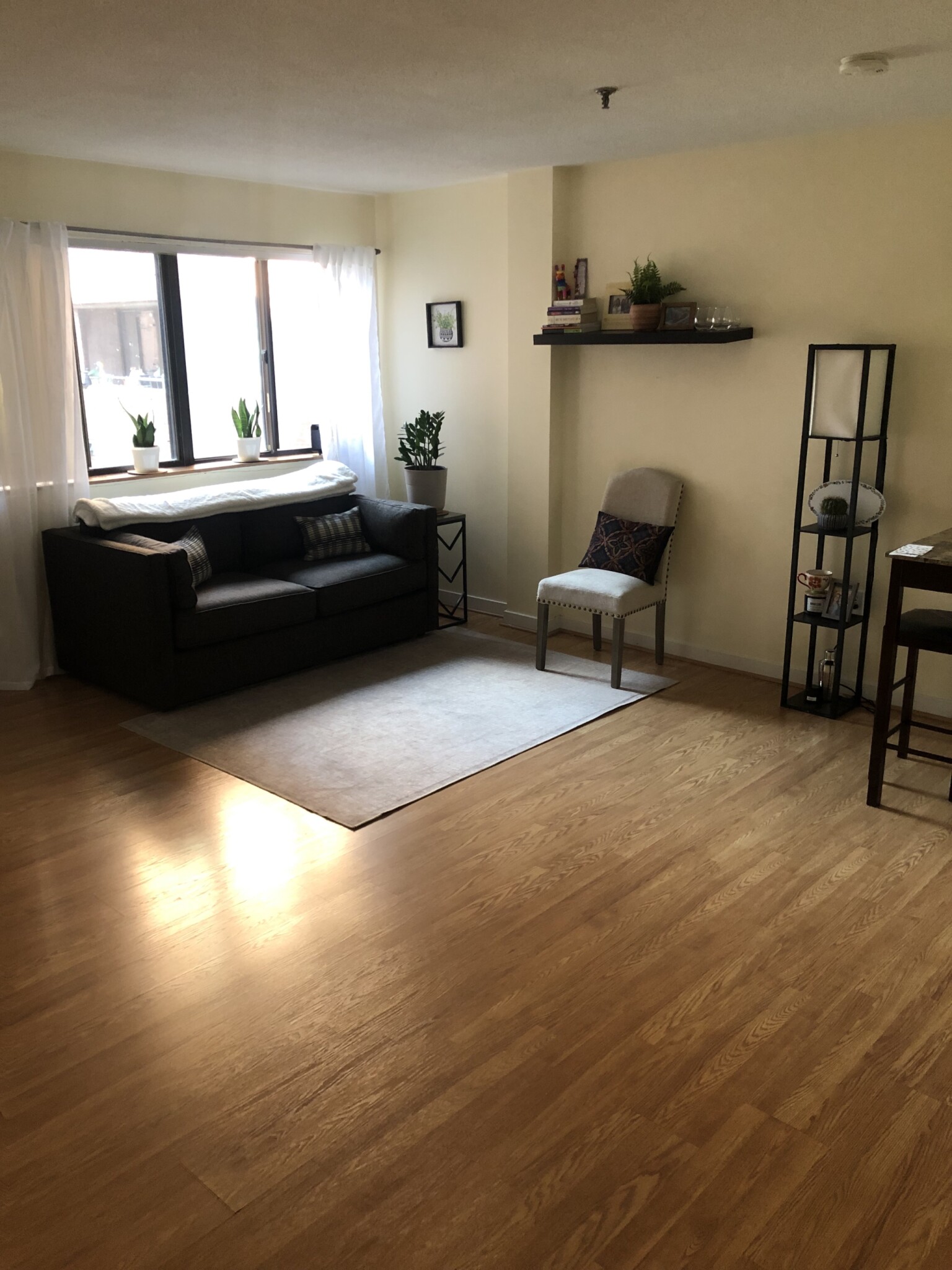 147 Kelton St, Brighton