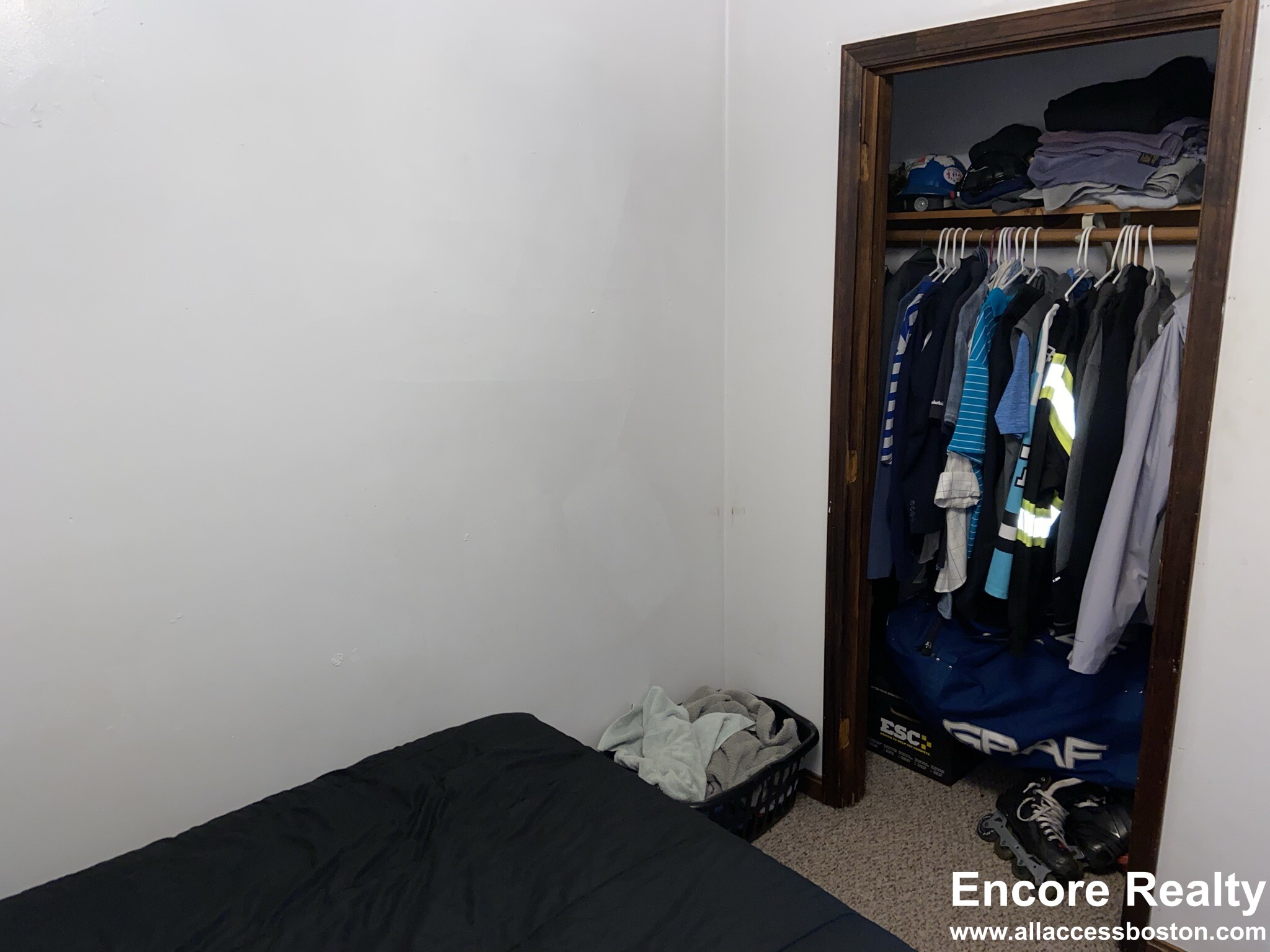 6 Shepard St, Brighton