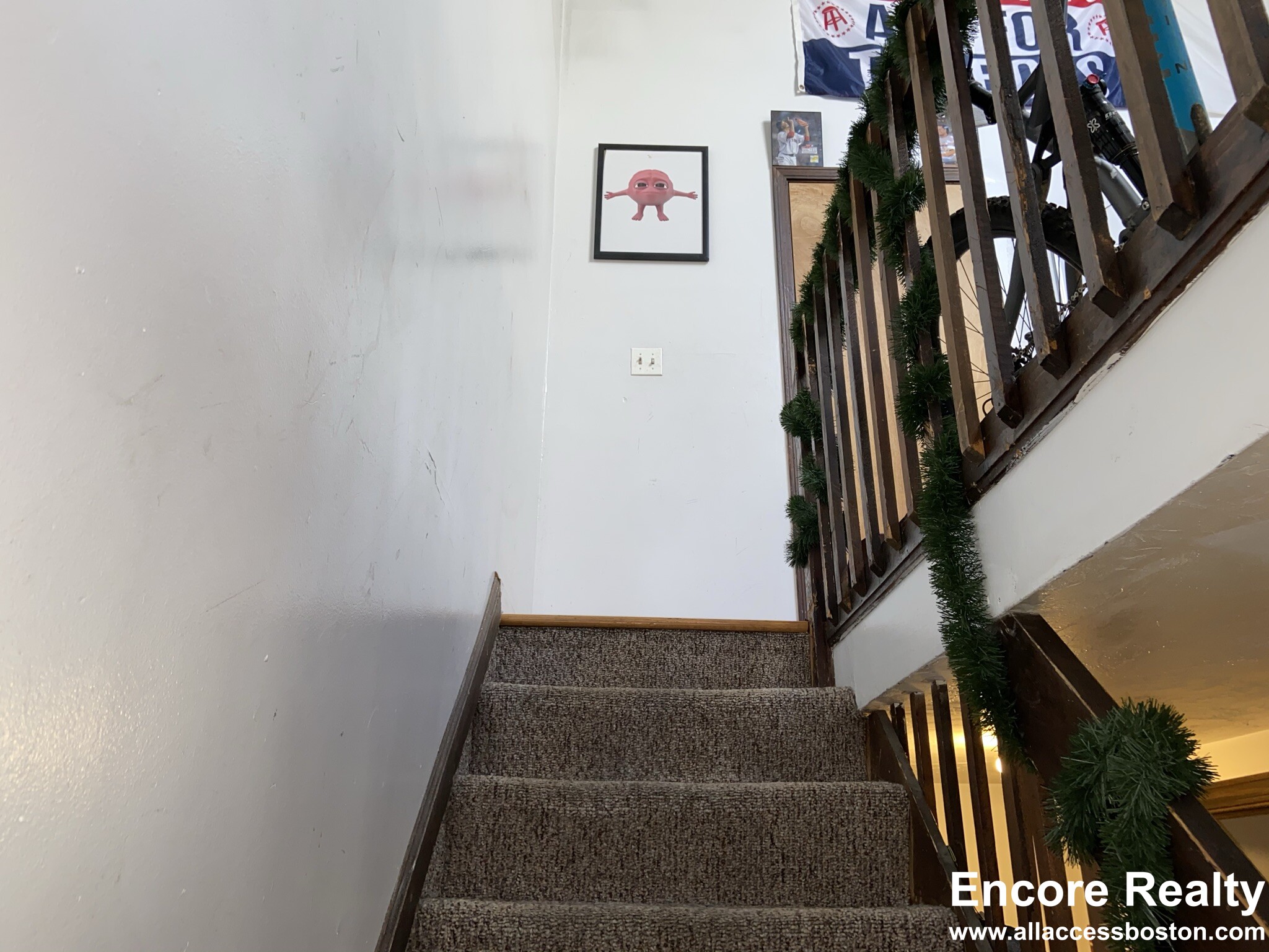 6 Shepard St, Brighton