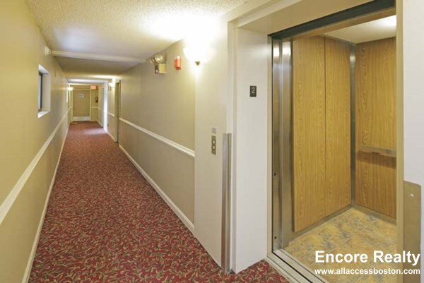 16 Elmer St, Central Square