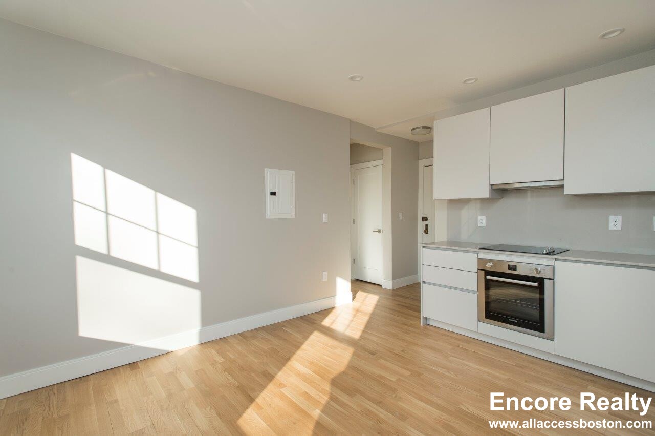 287 Chestnut Hill Ave, Brighton