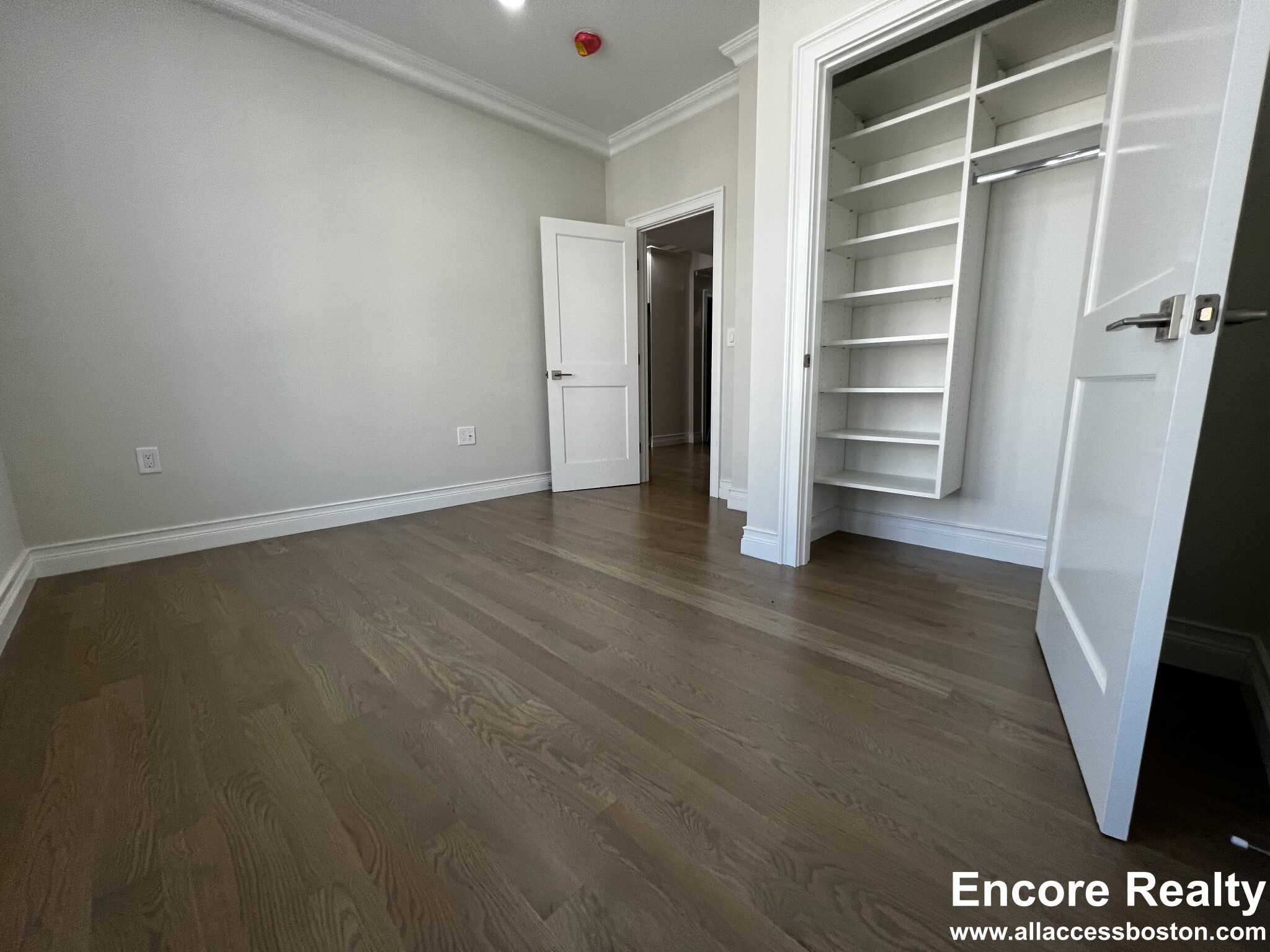 14 Mount Hood Rd, Brighton