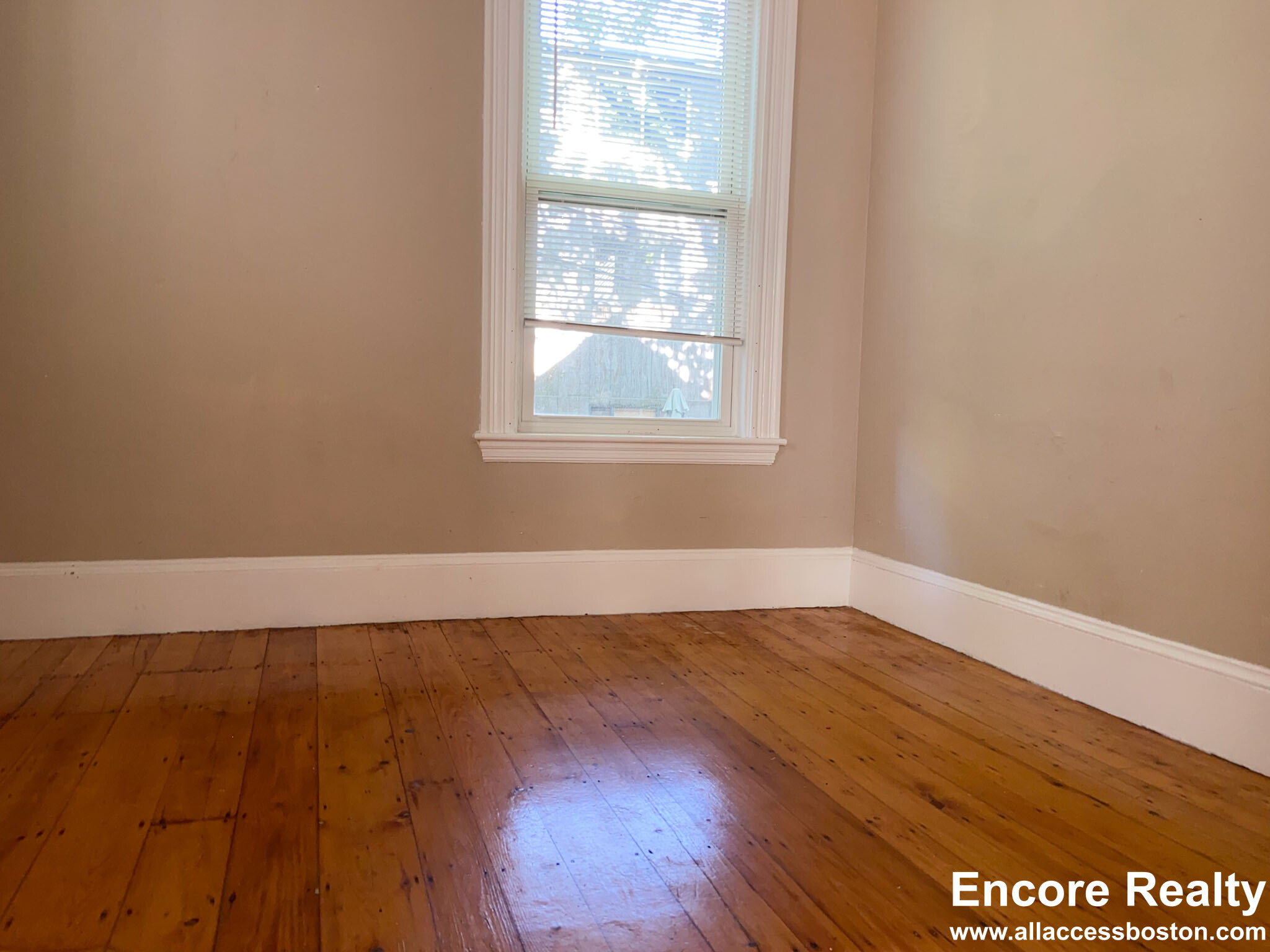 13 Sachem St, Mission Hill