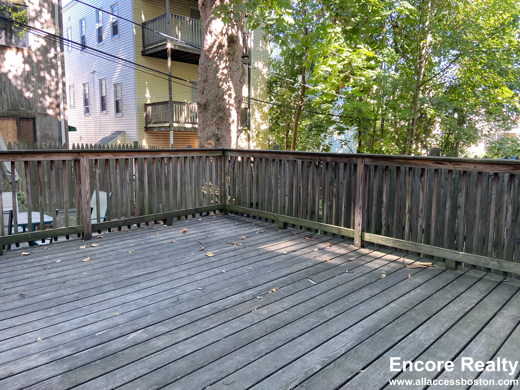 13 Sachem St, Mission Hill