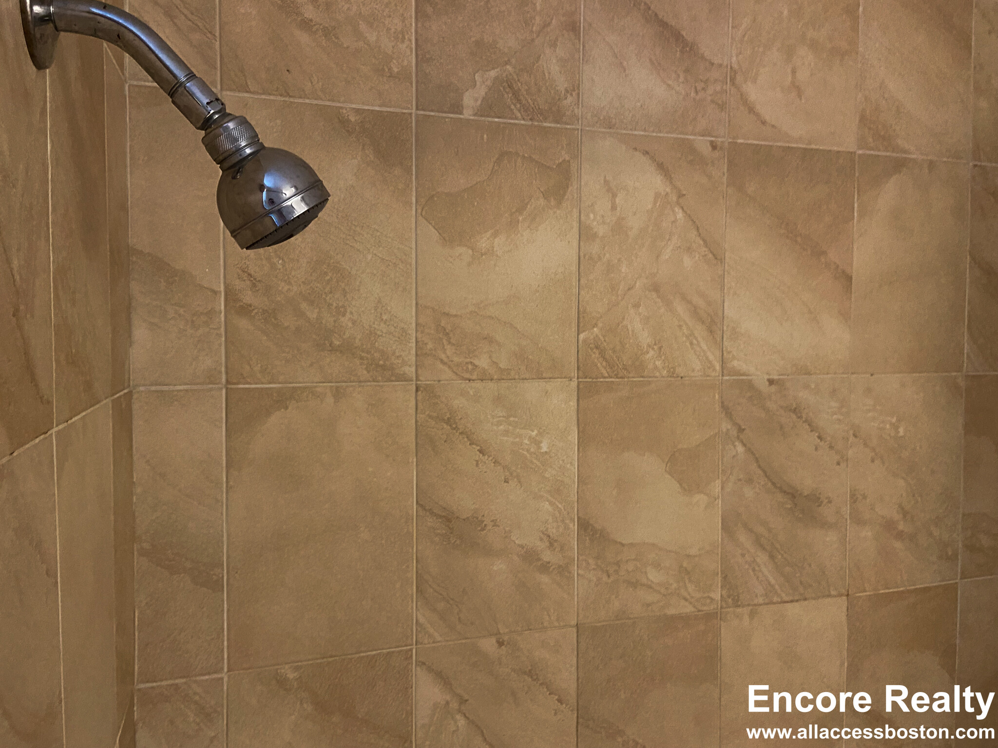 13 Sachem St, Mission Hill