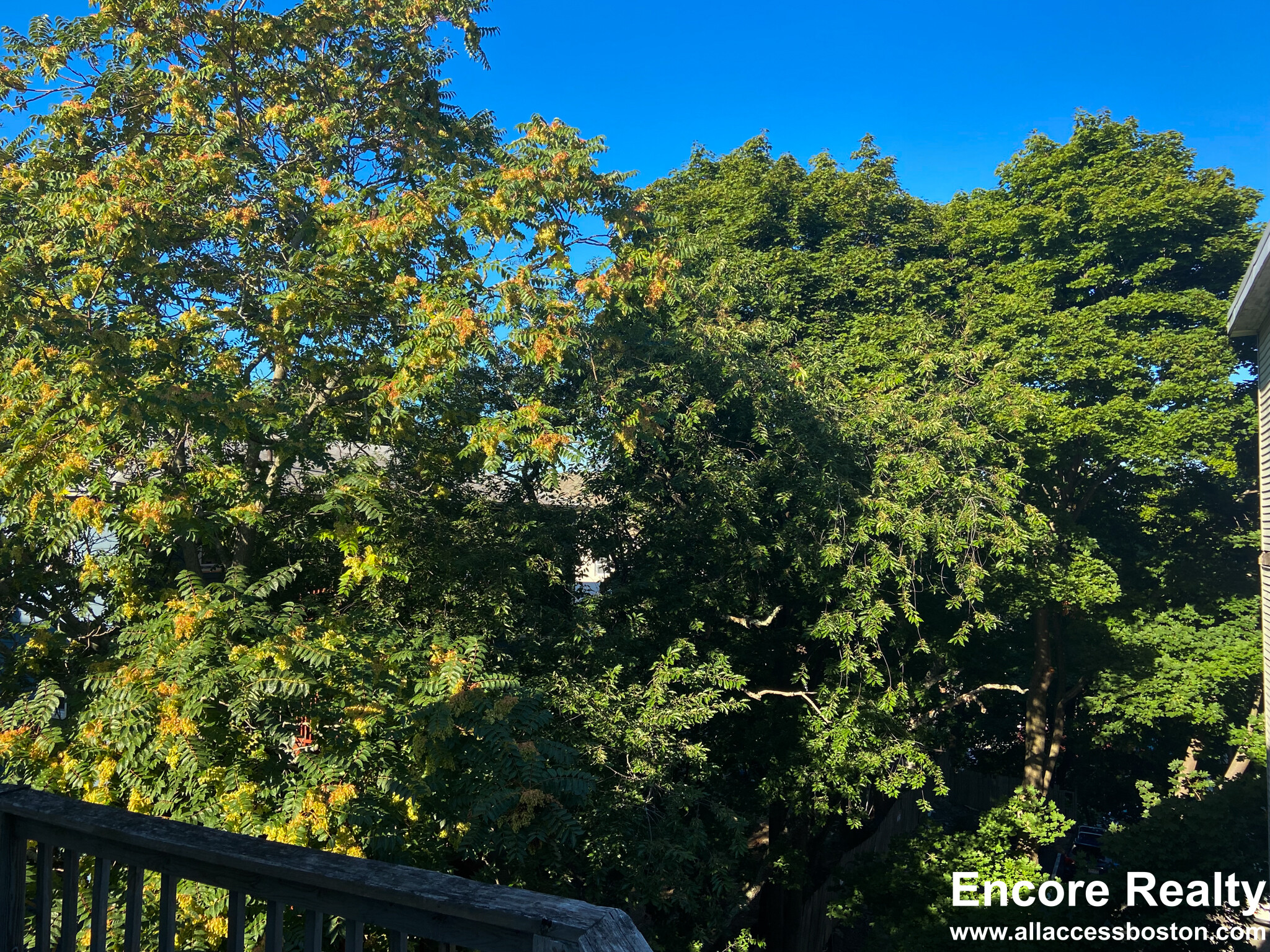 19 Parker Hill Ave, Mission Hill