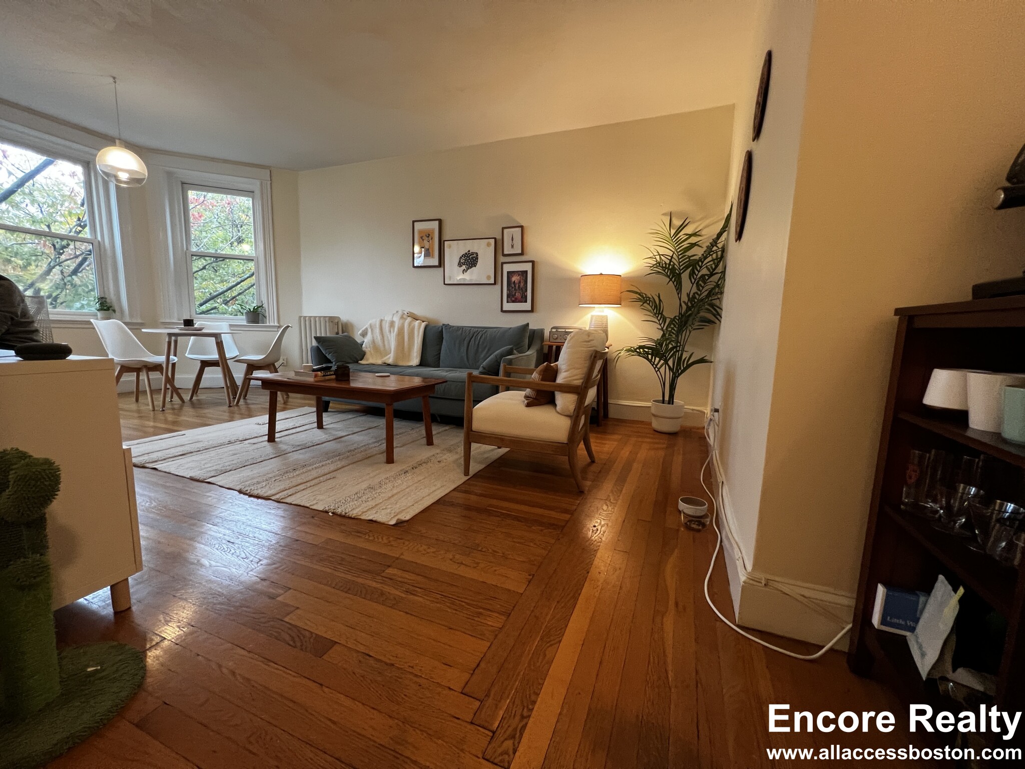 33 Stearns Rd, Coolidge Corner