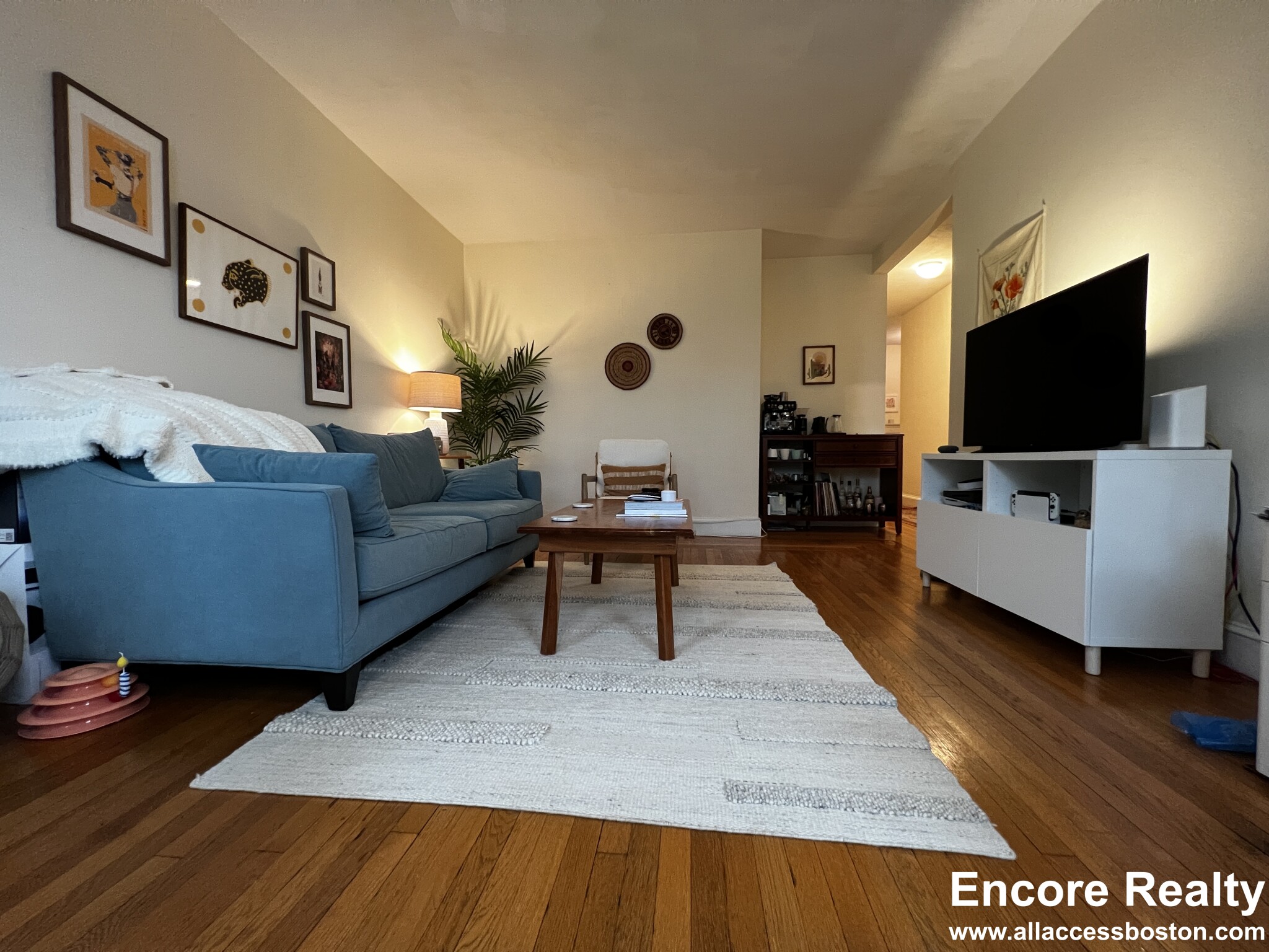 33 Stearns Rd, Coolidge Corner