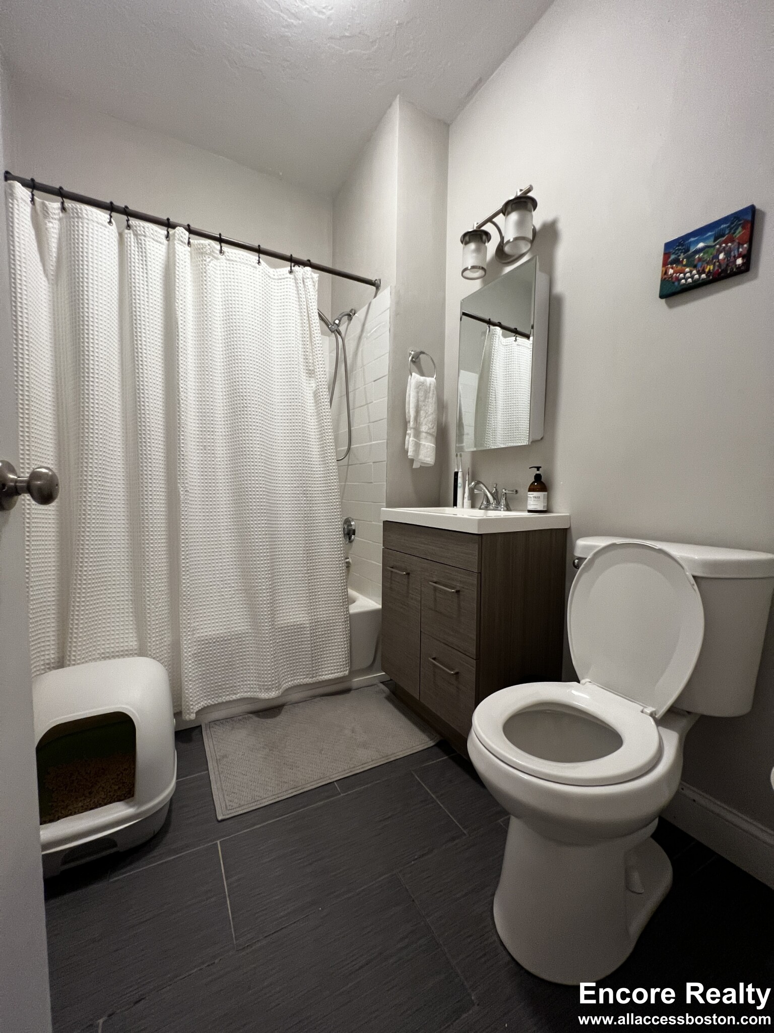 33 Stearns Rd, Coolidge Corner