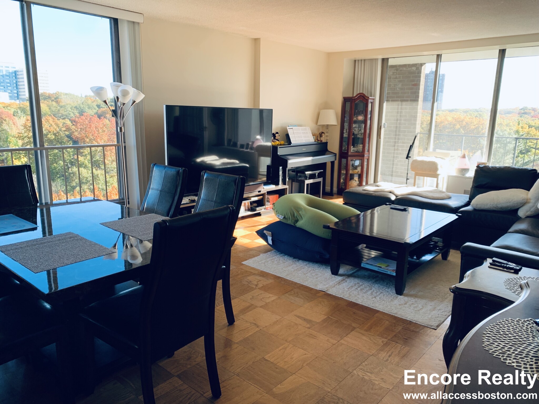 77 Pond Ave, Brookline Village