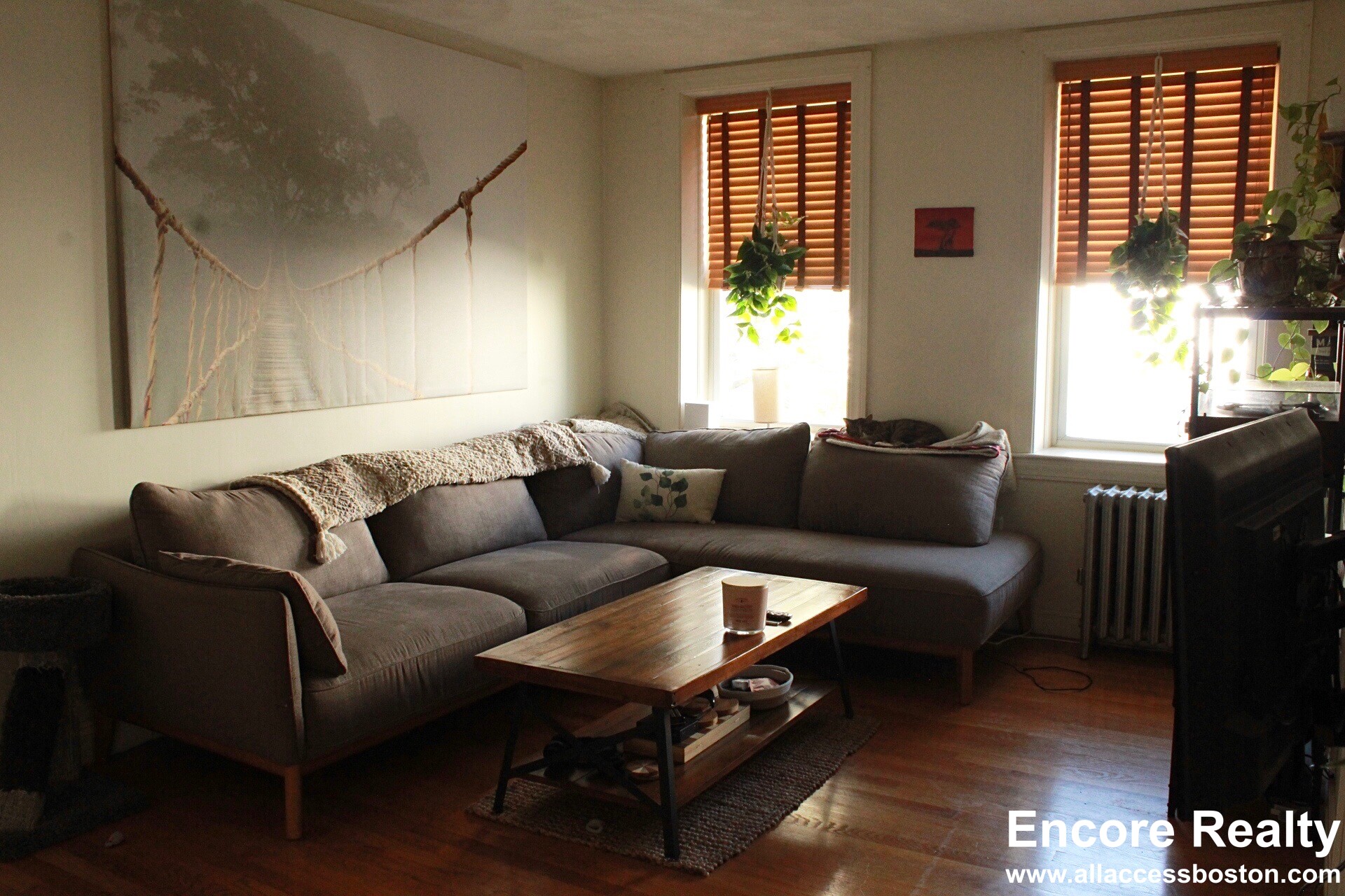 4 Vinal St, Brighton