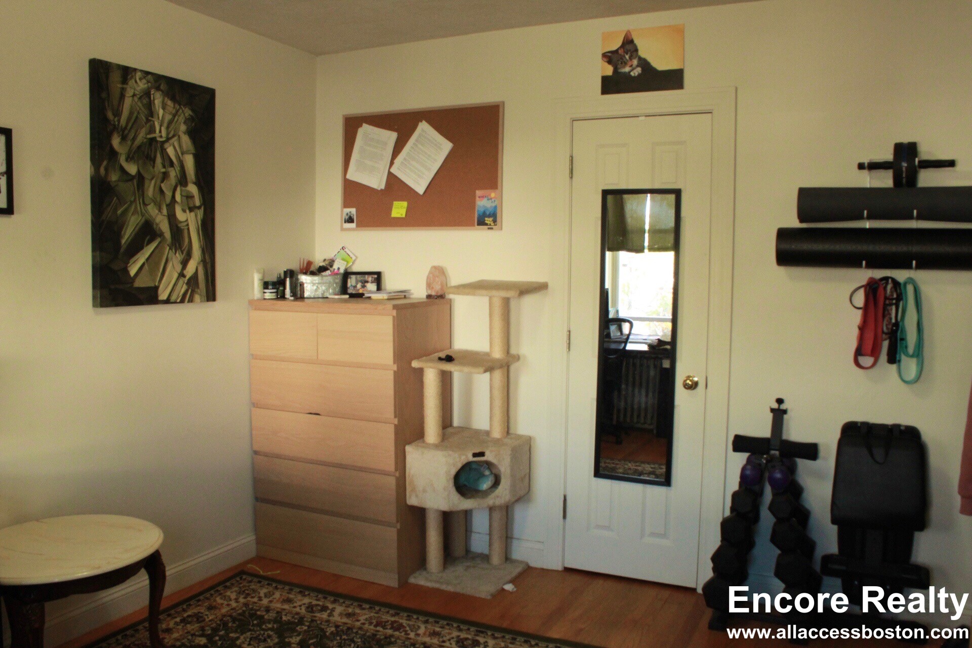 4 Vinal St, Brighton