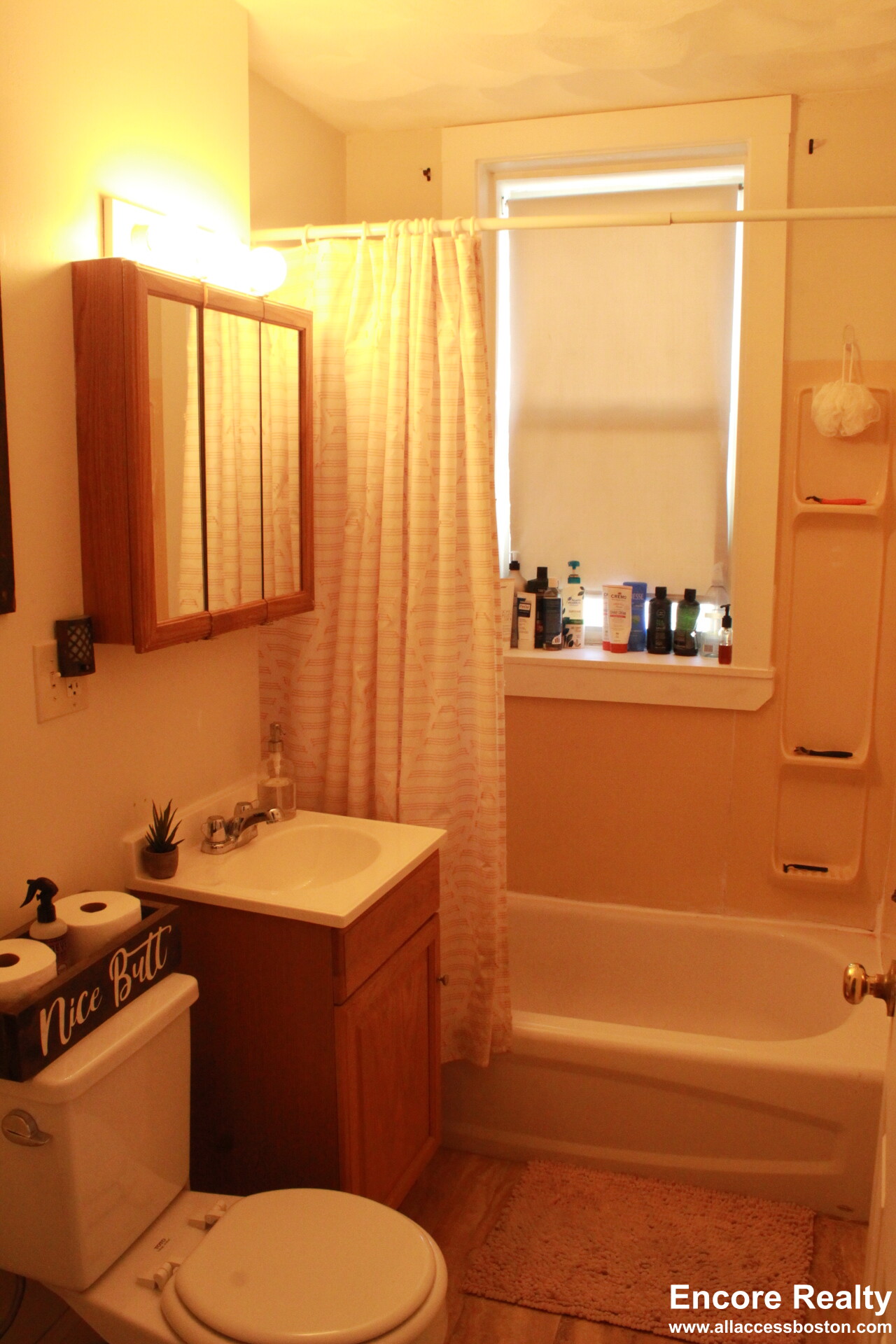 4 Vinal St, Brighton